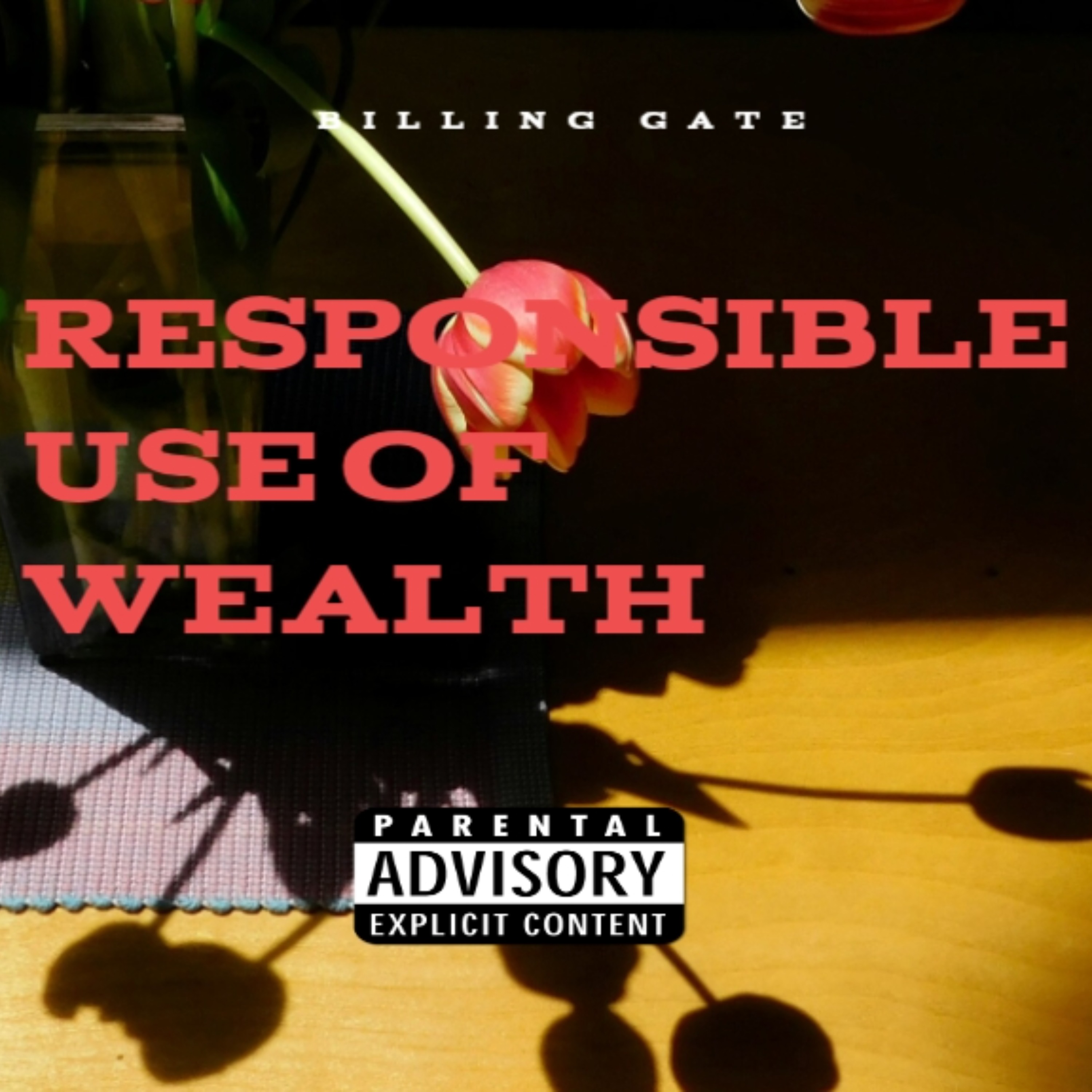 Responsible Use Of Wealth artwork