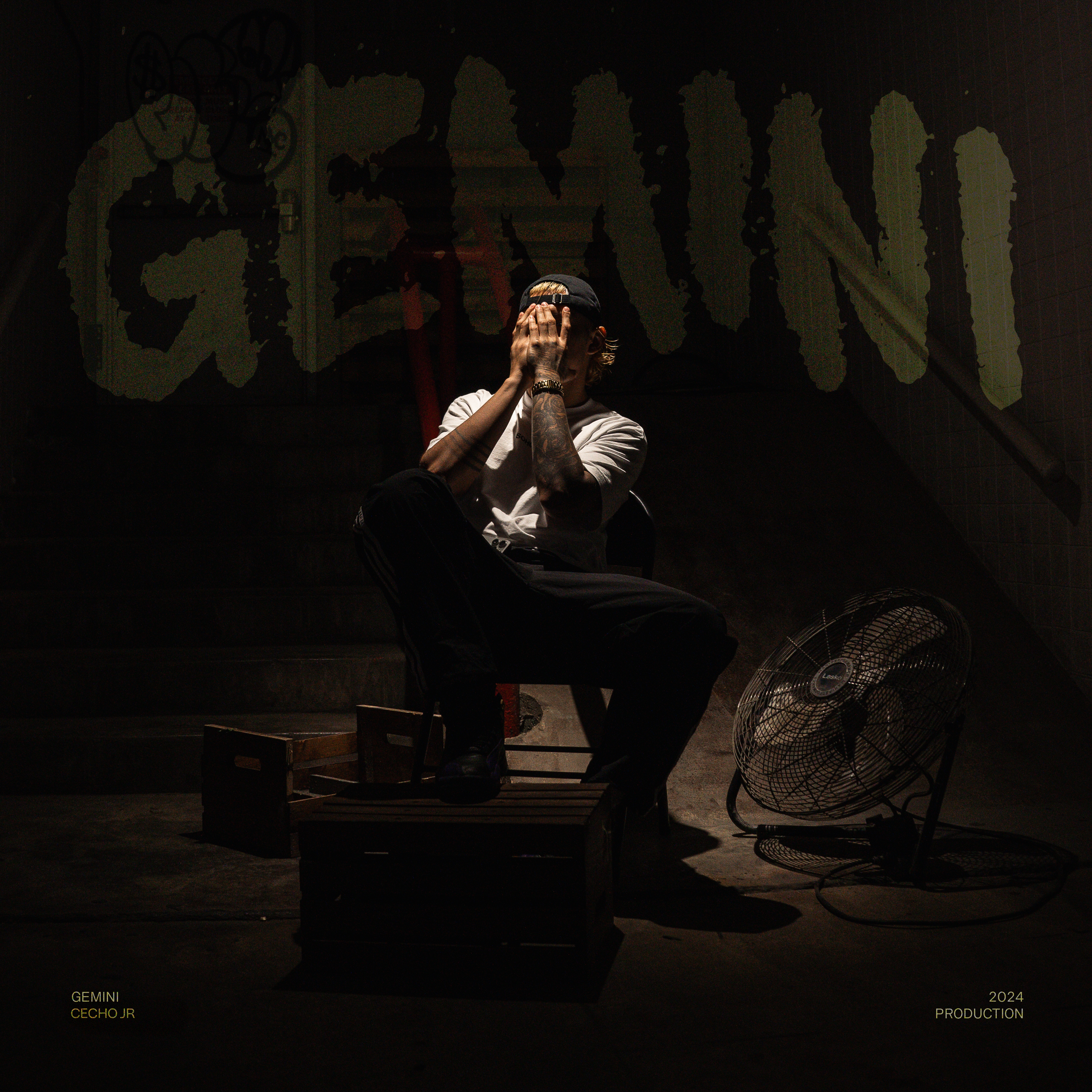 Gemini artwork