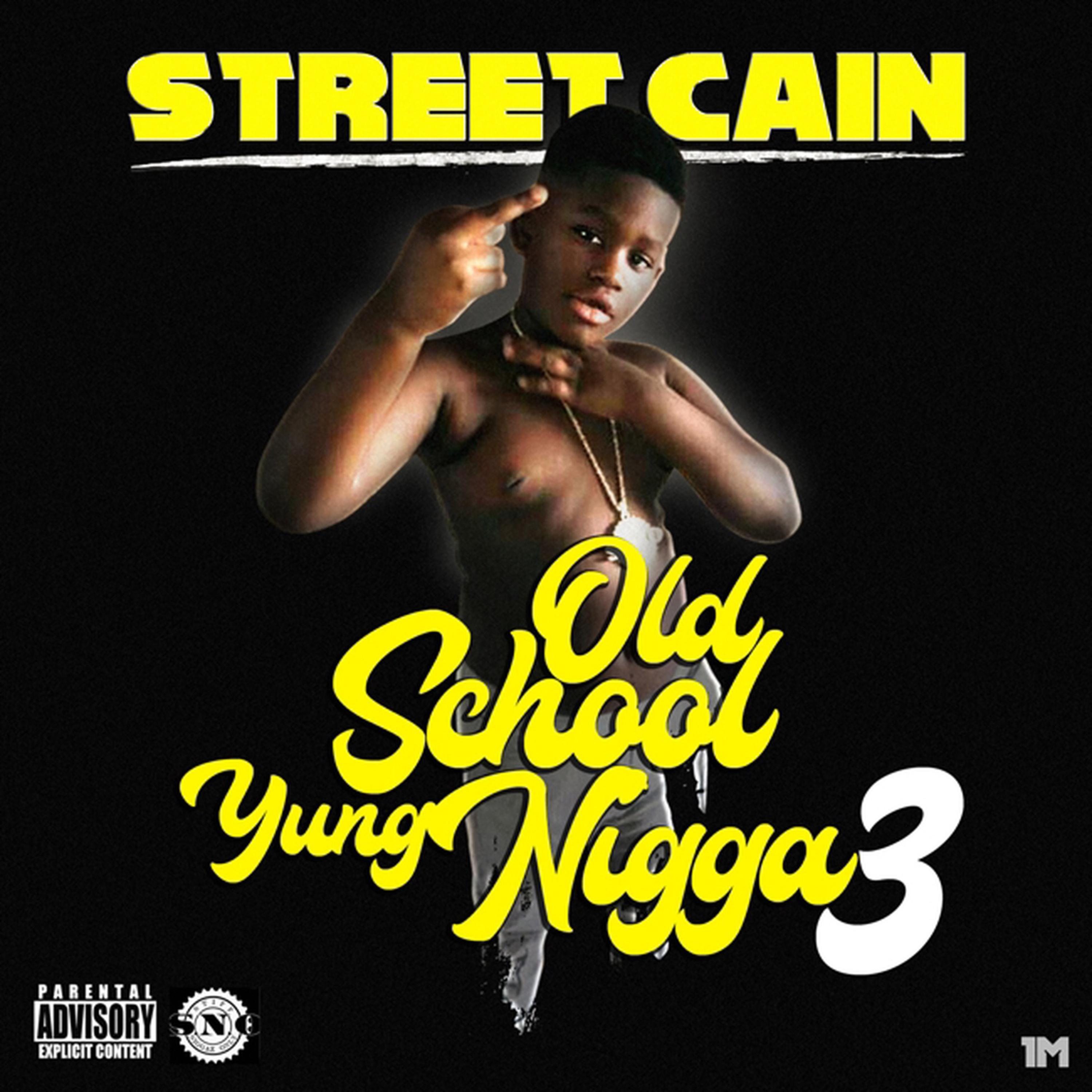 Old School Yung Nigga 3 artwork