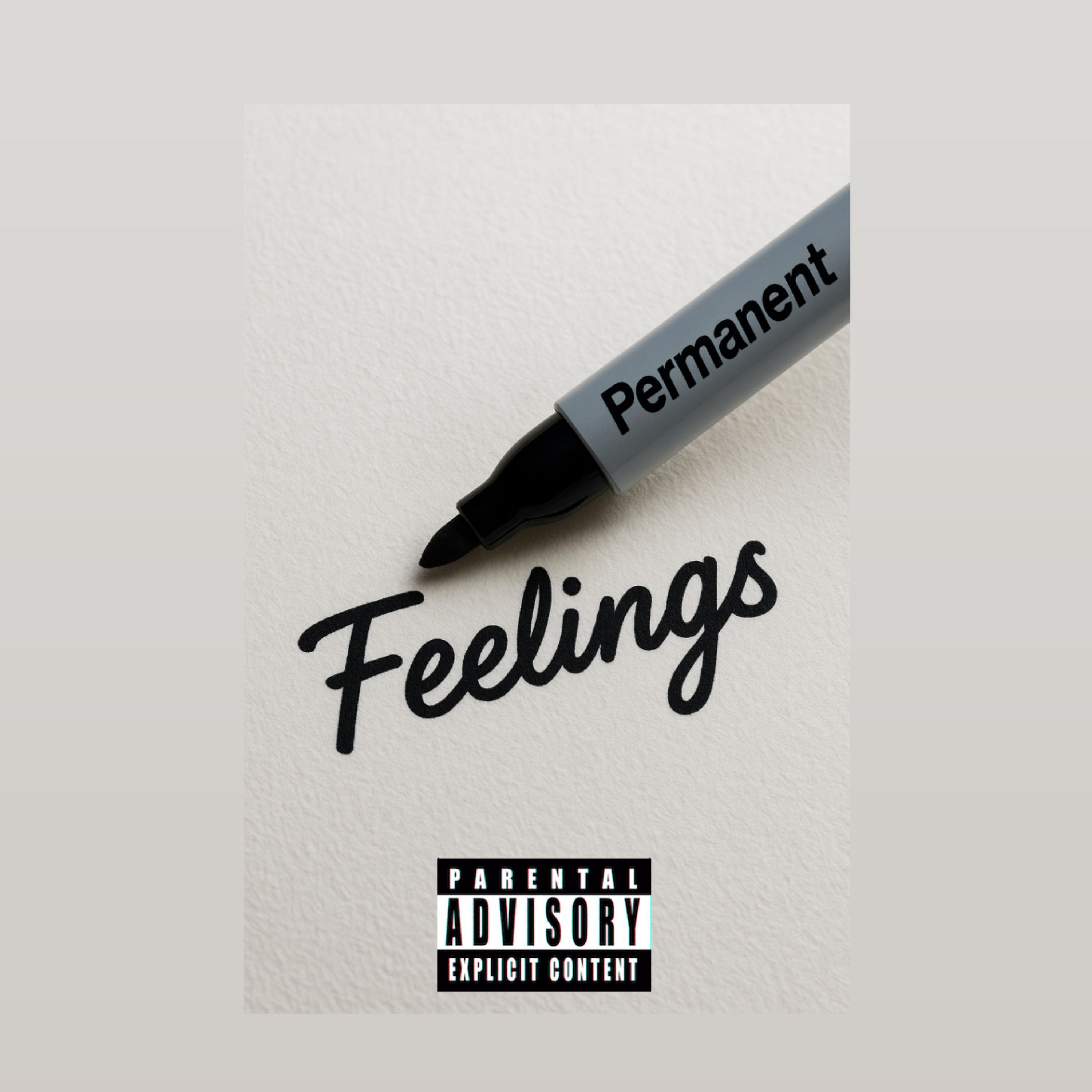 Permanent Feelings artwork