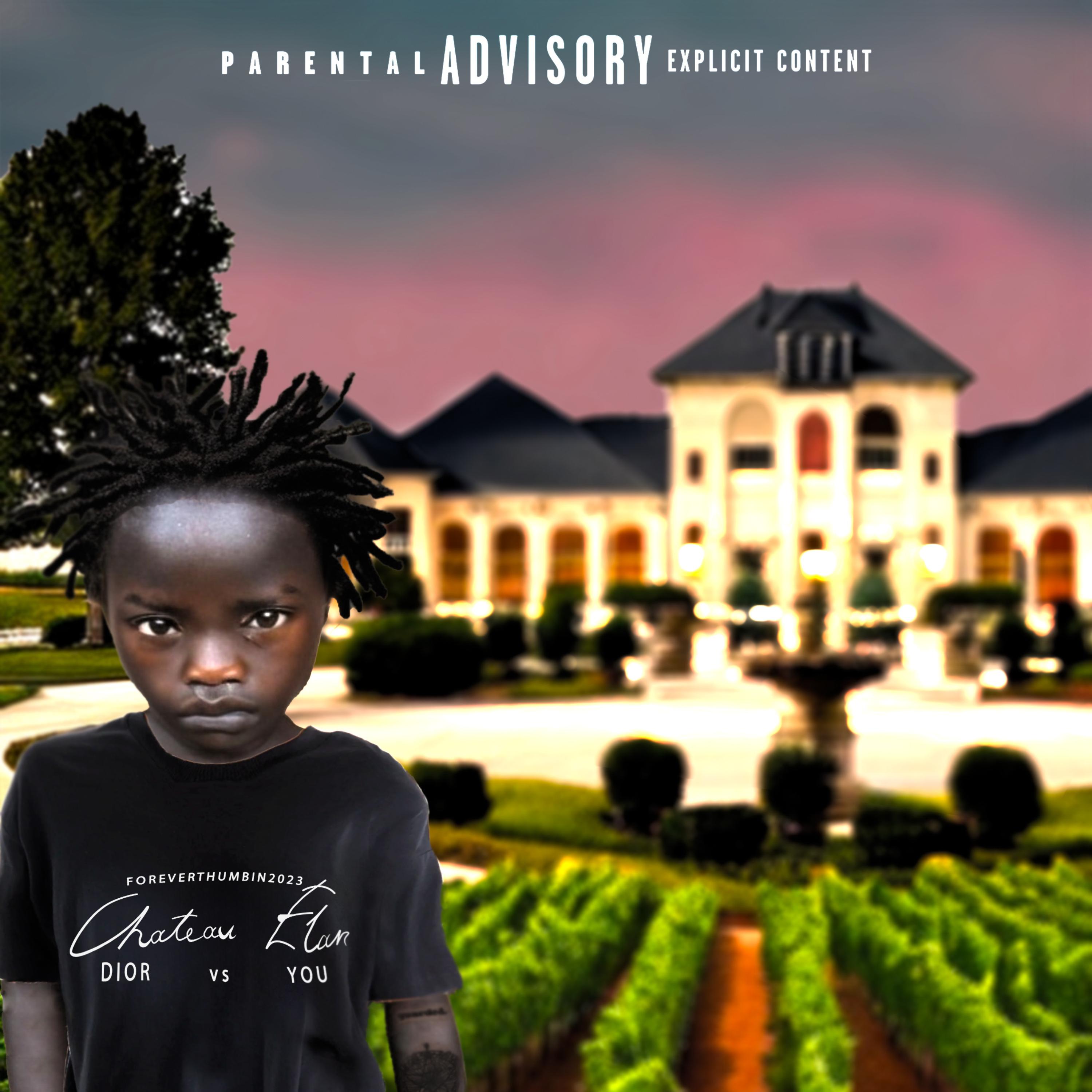 Chateau Elan artwork