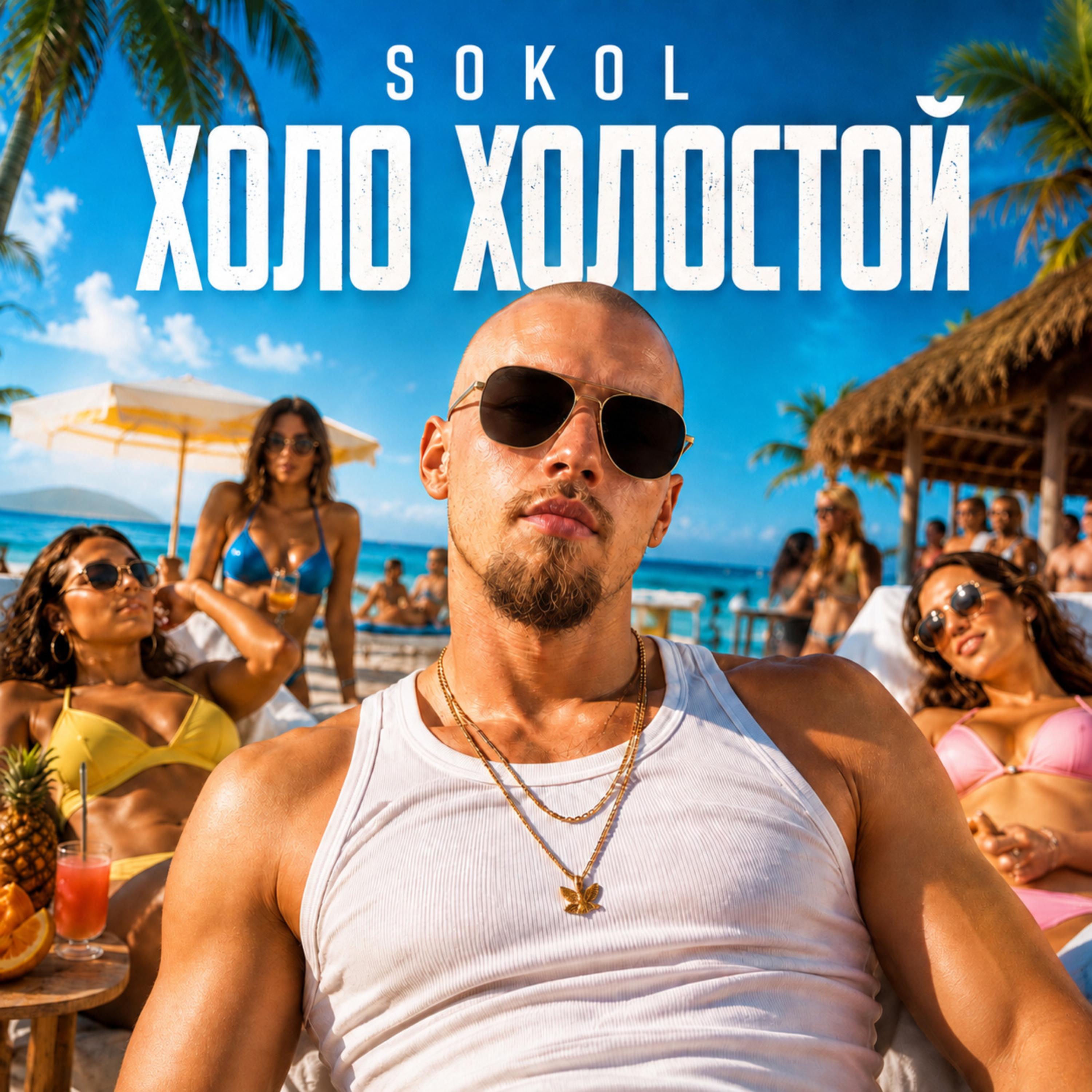 Холо холостой by Sokol cover art