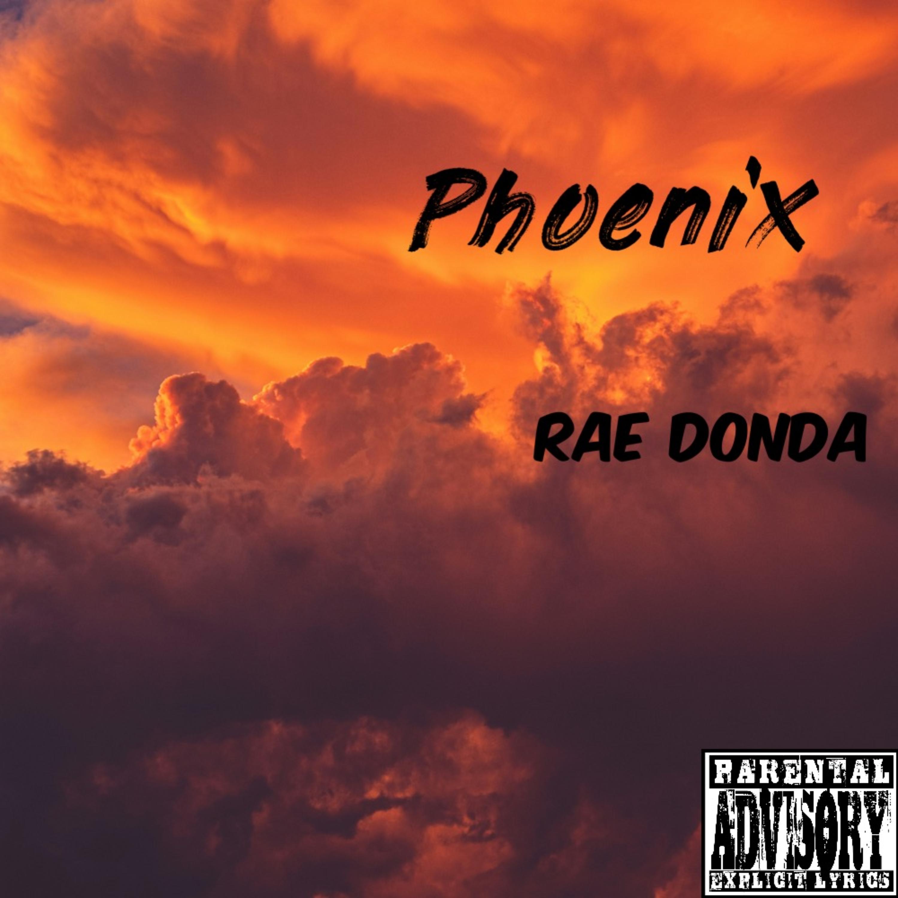 Phoenix artwork