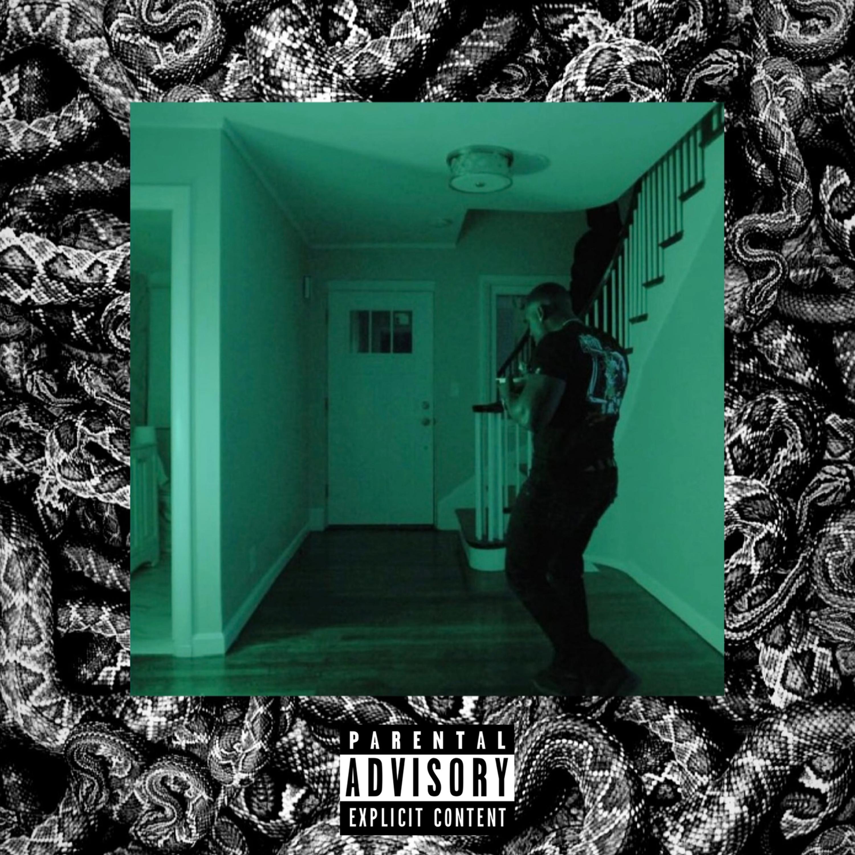 Shinin' Thru The Darkness artwork
