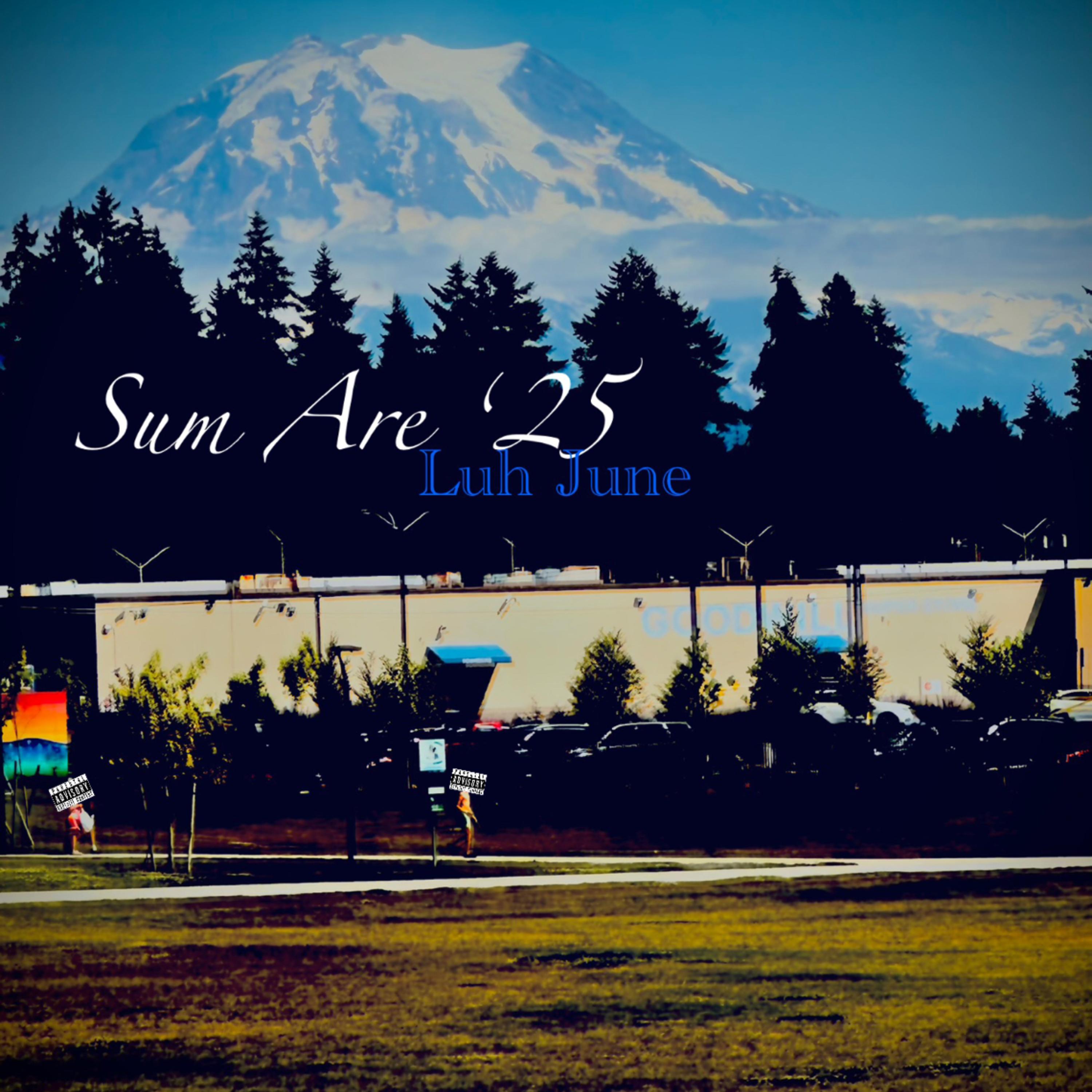 Sum Are ‘25 artwork