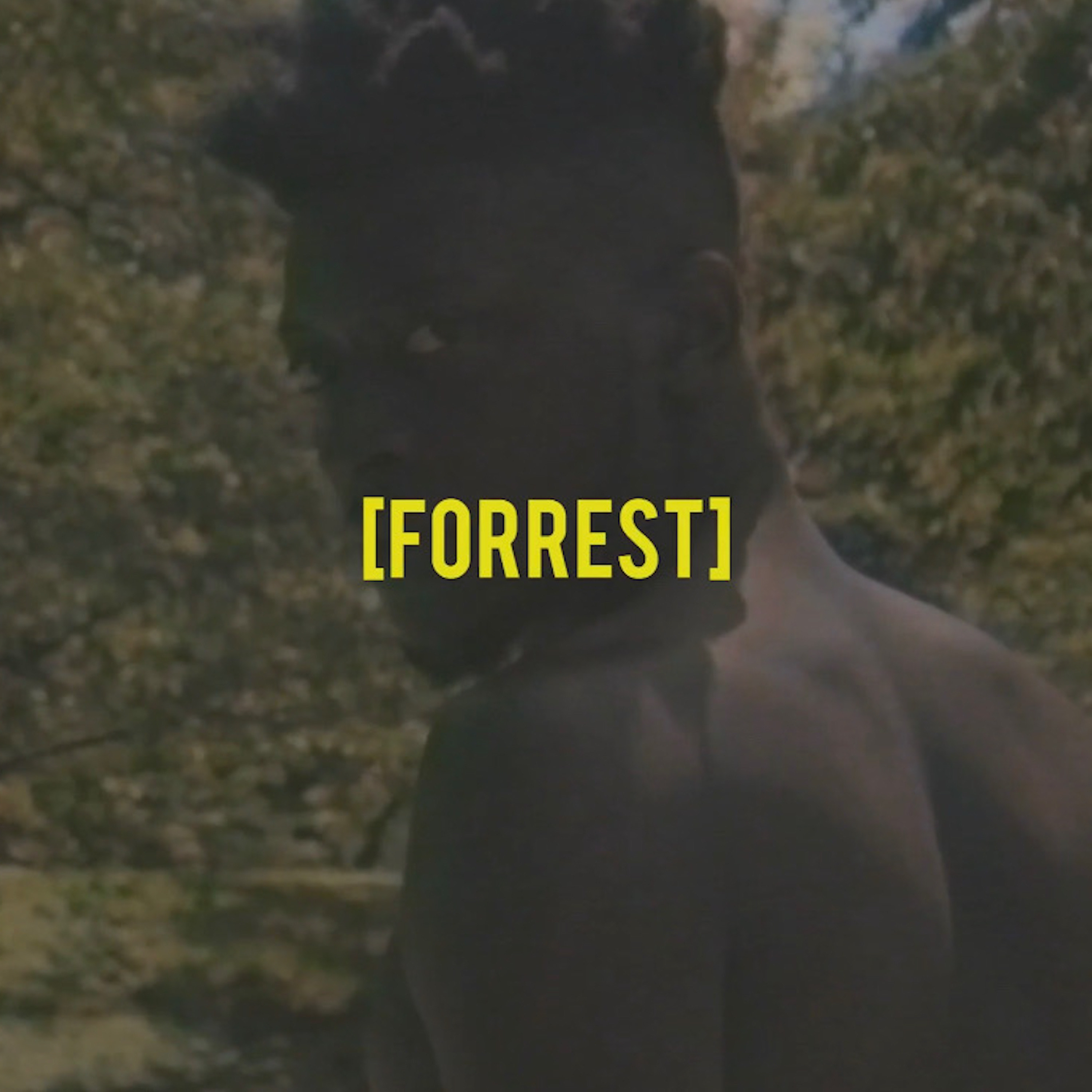 Forrest artwork