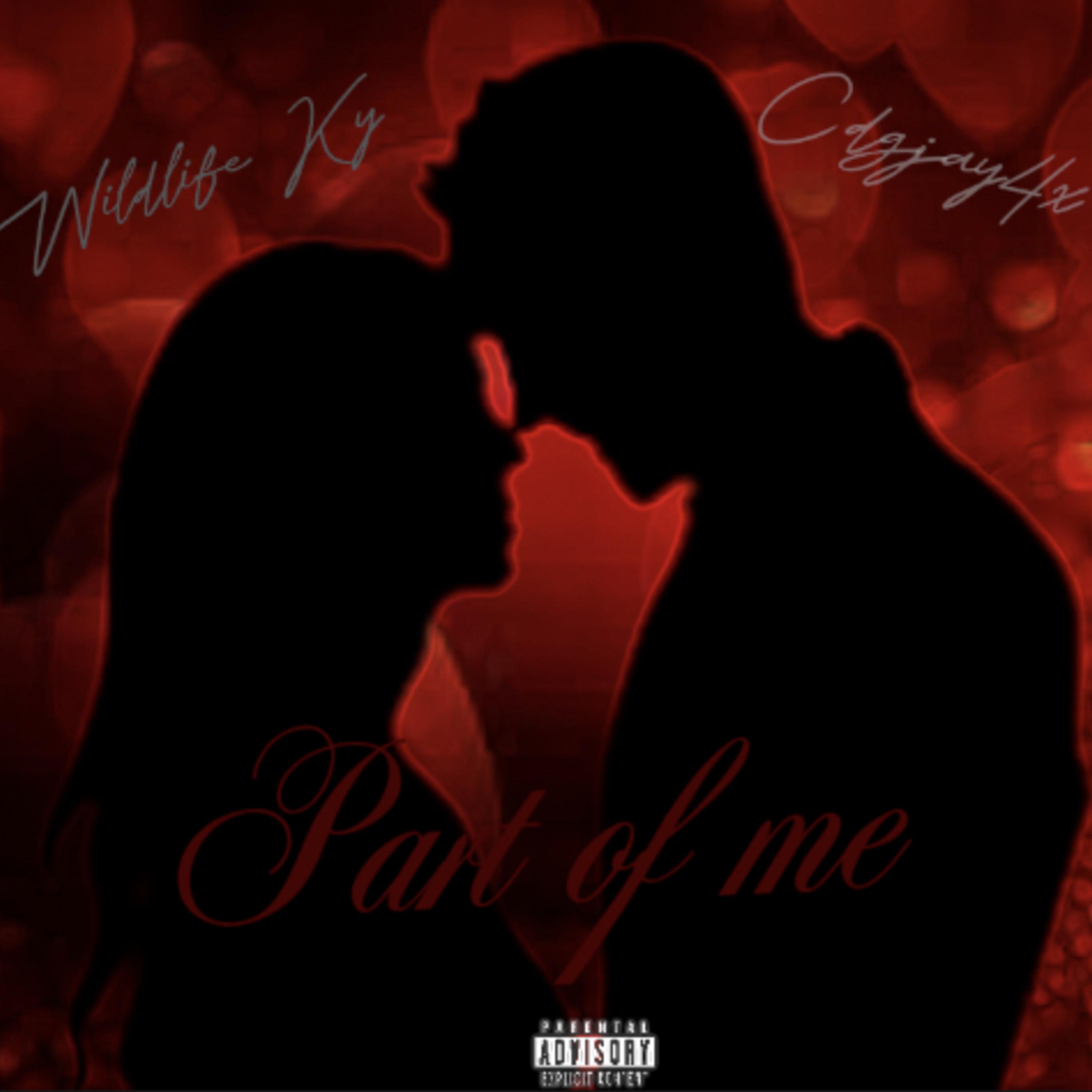 Part Of Me artwork