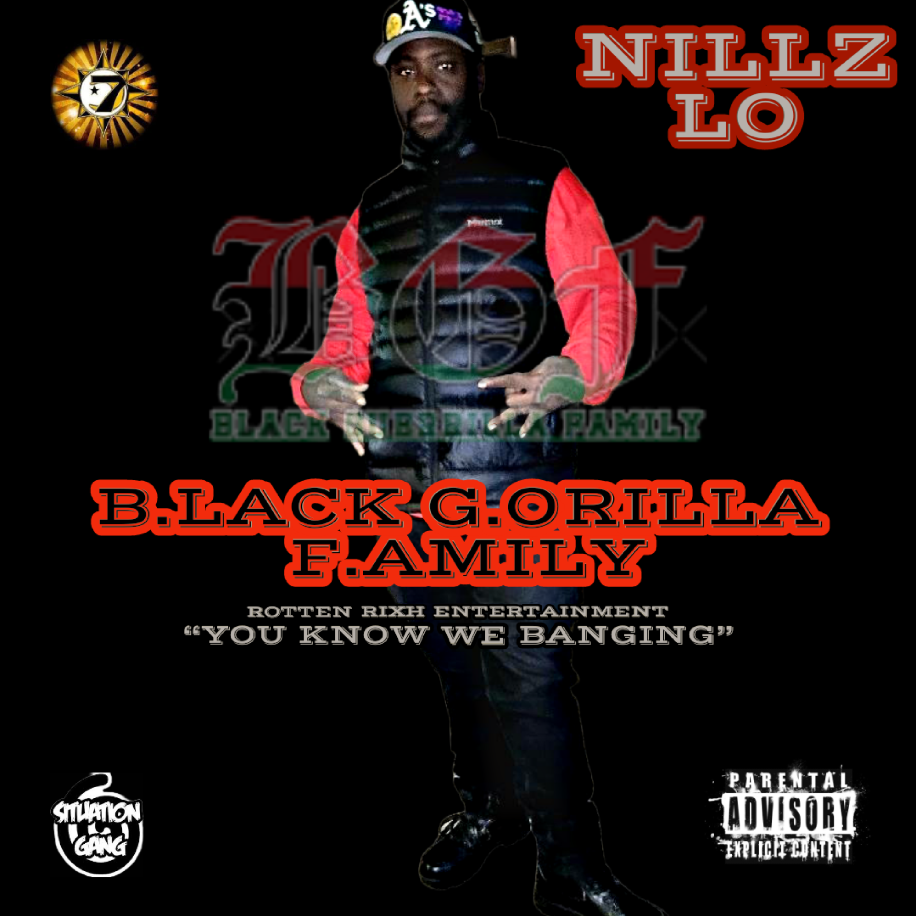 BLACK GORILLA FAMILY artwork