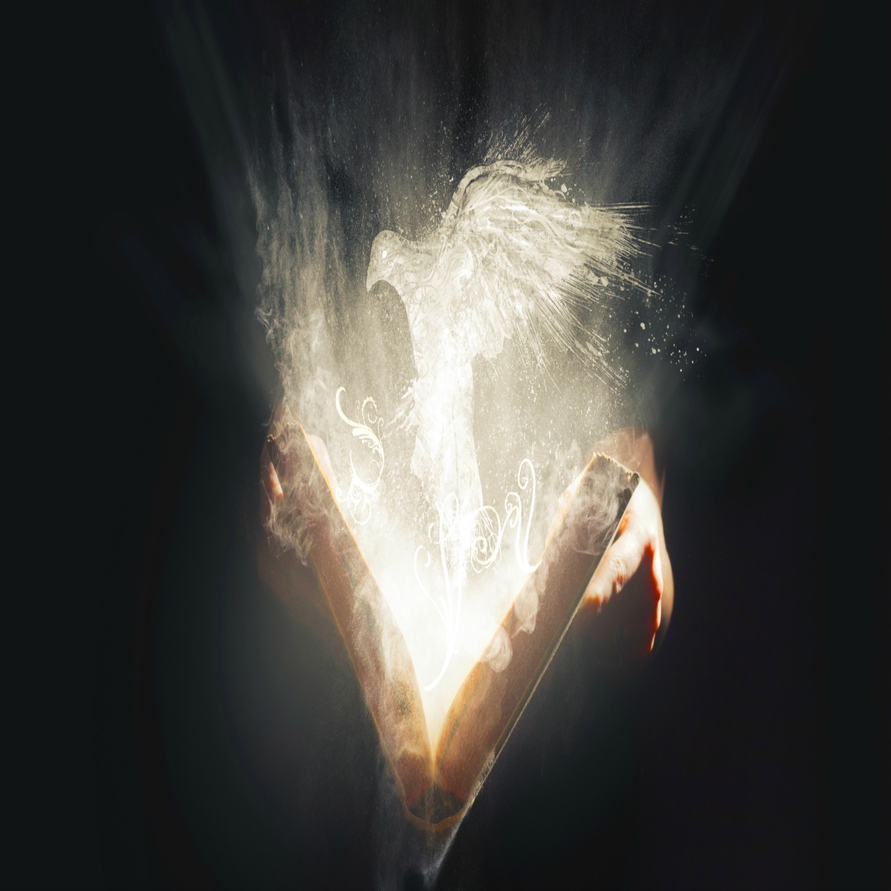 Magnum Opus artwork
