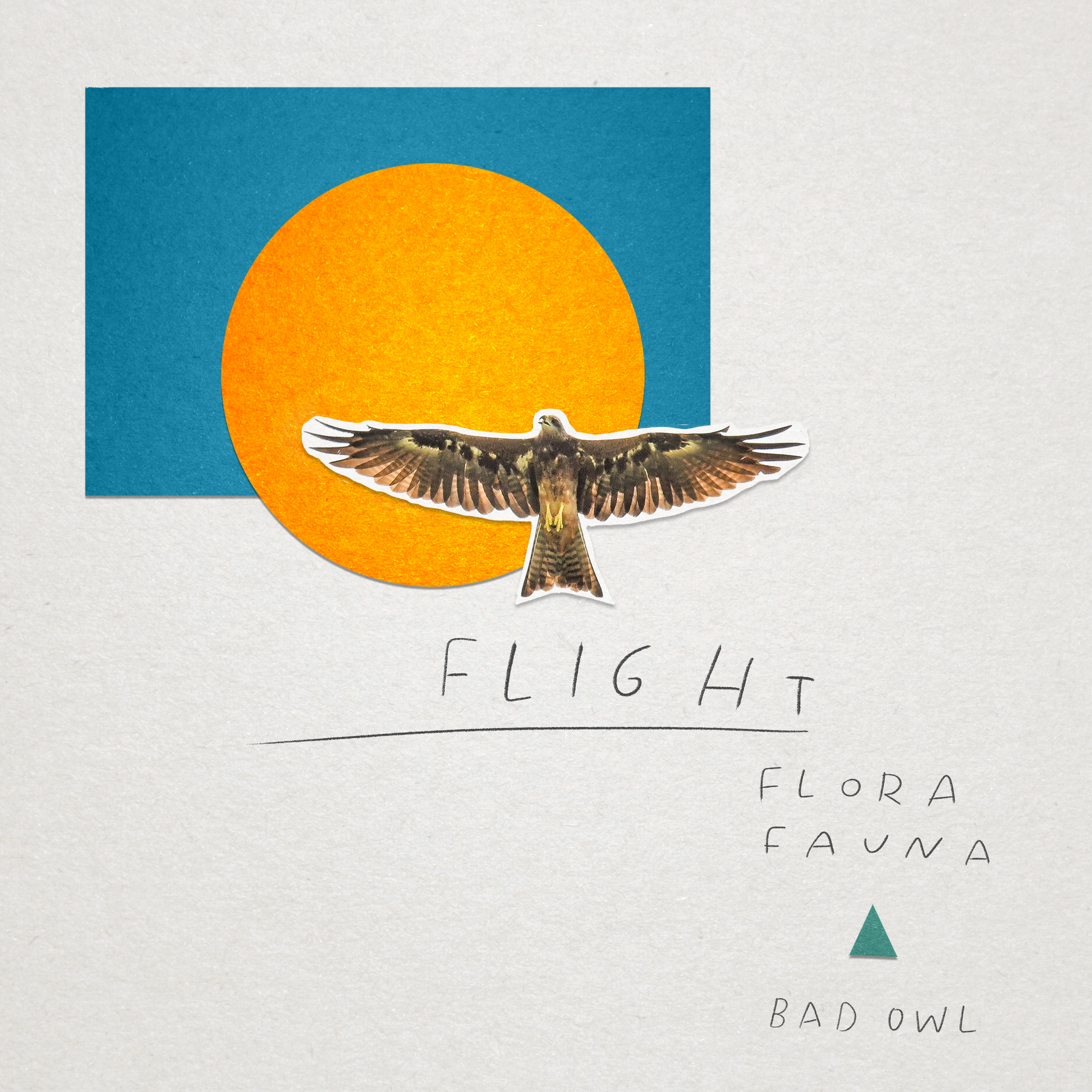 Flight artwork