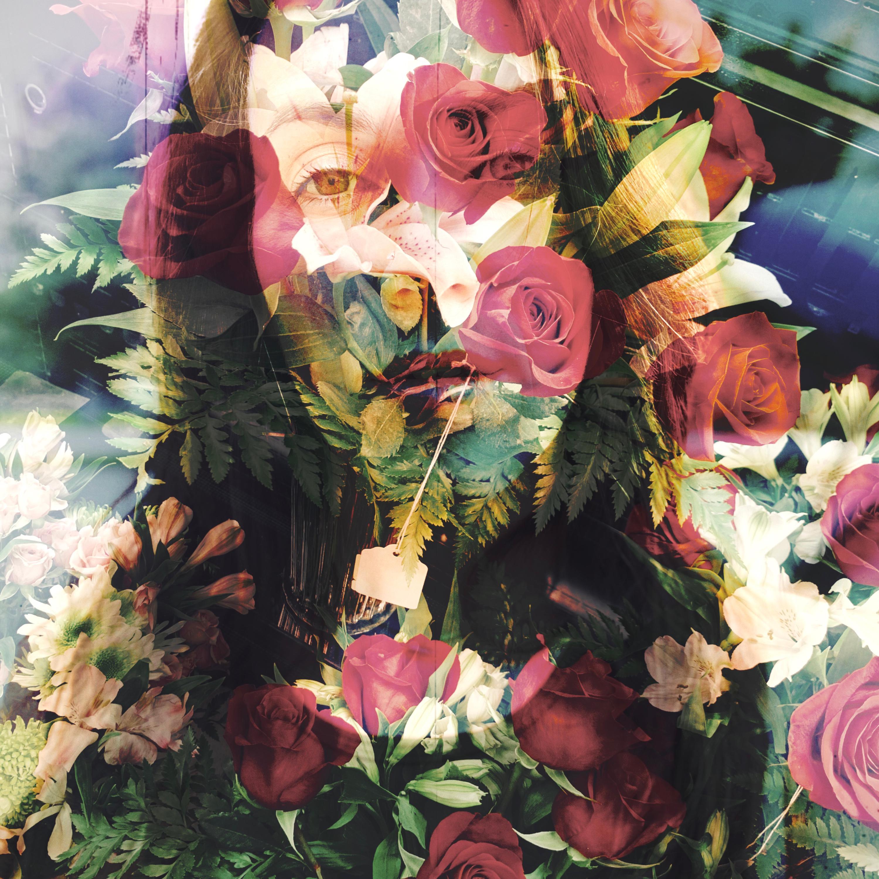 May Pedals Fall Where Rose Blooms artwork