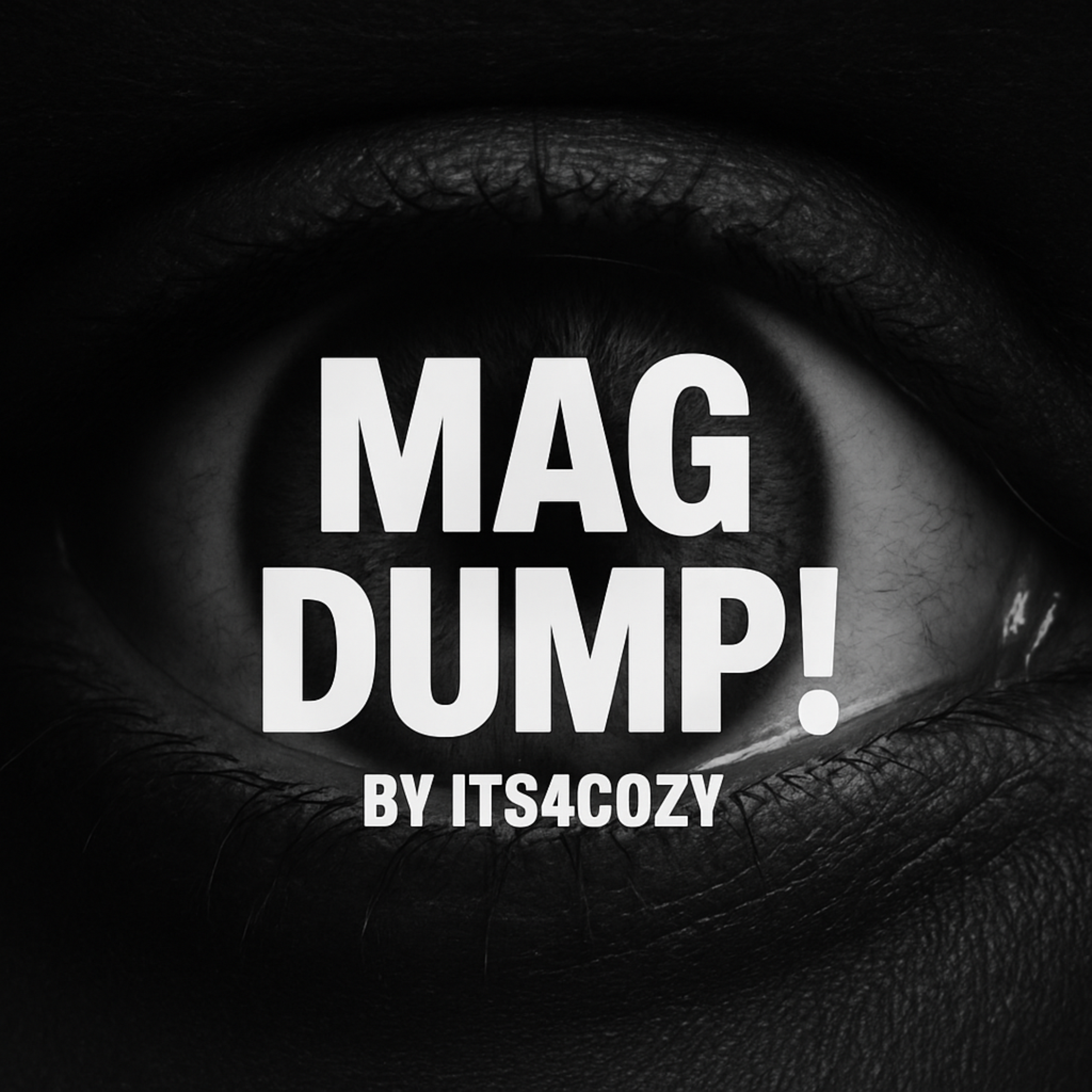 MAG DUMP! artwork
