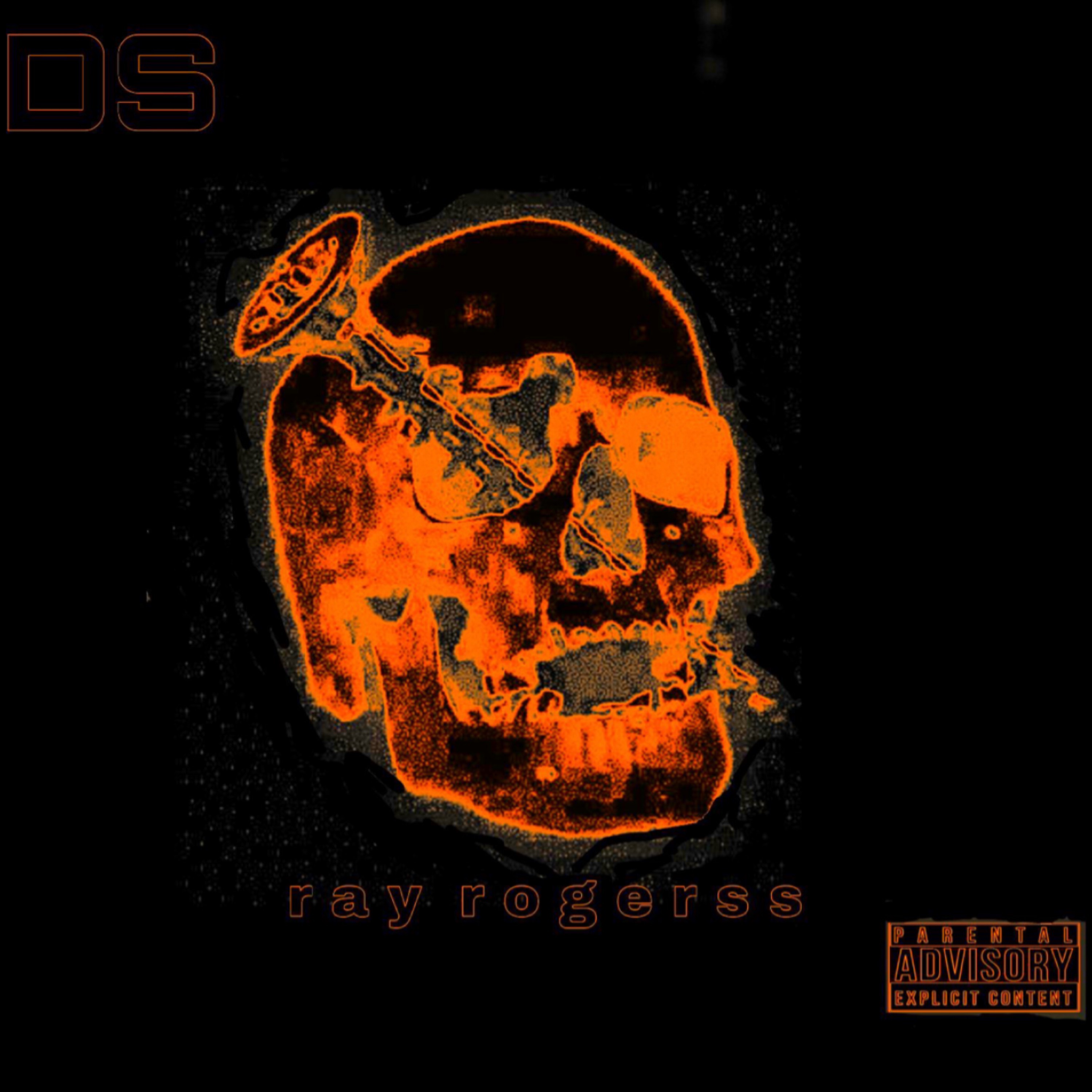 DS by ray rogerss cover art