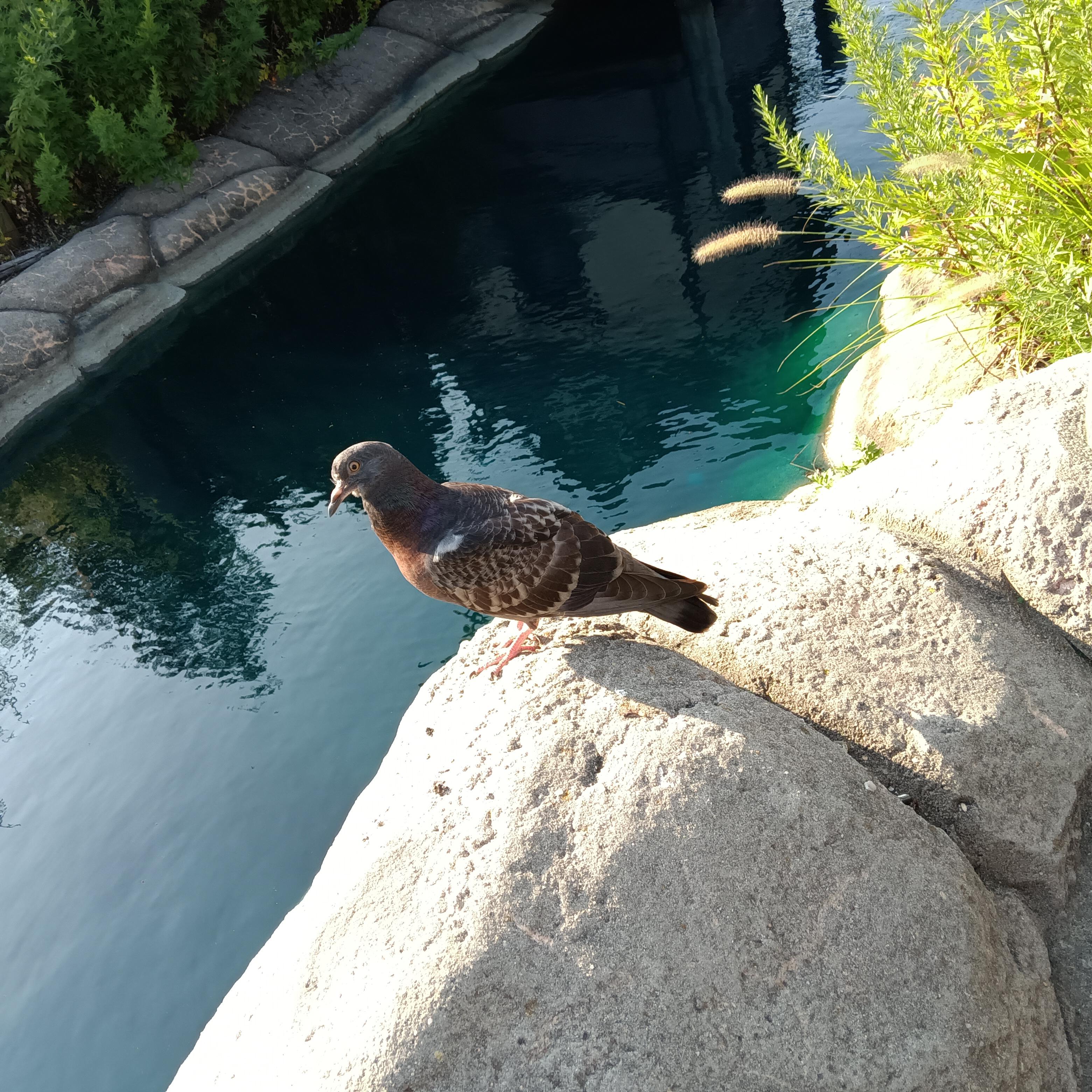 Blind Date Disaster artwork