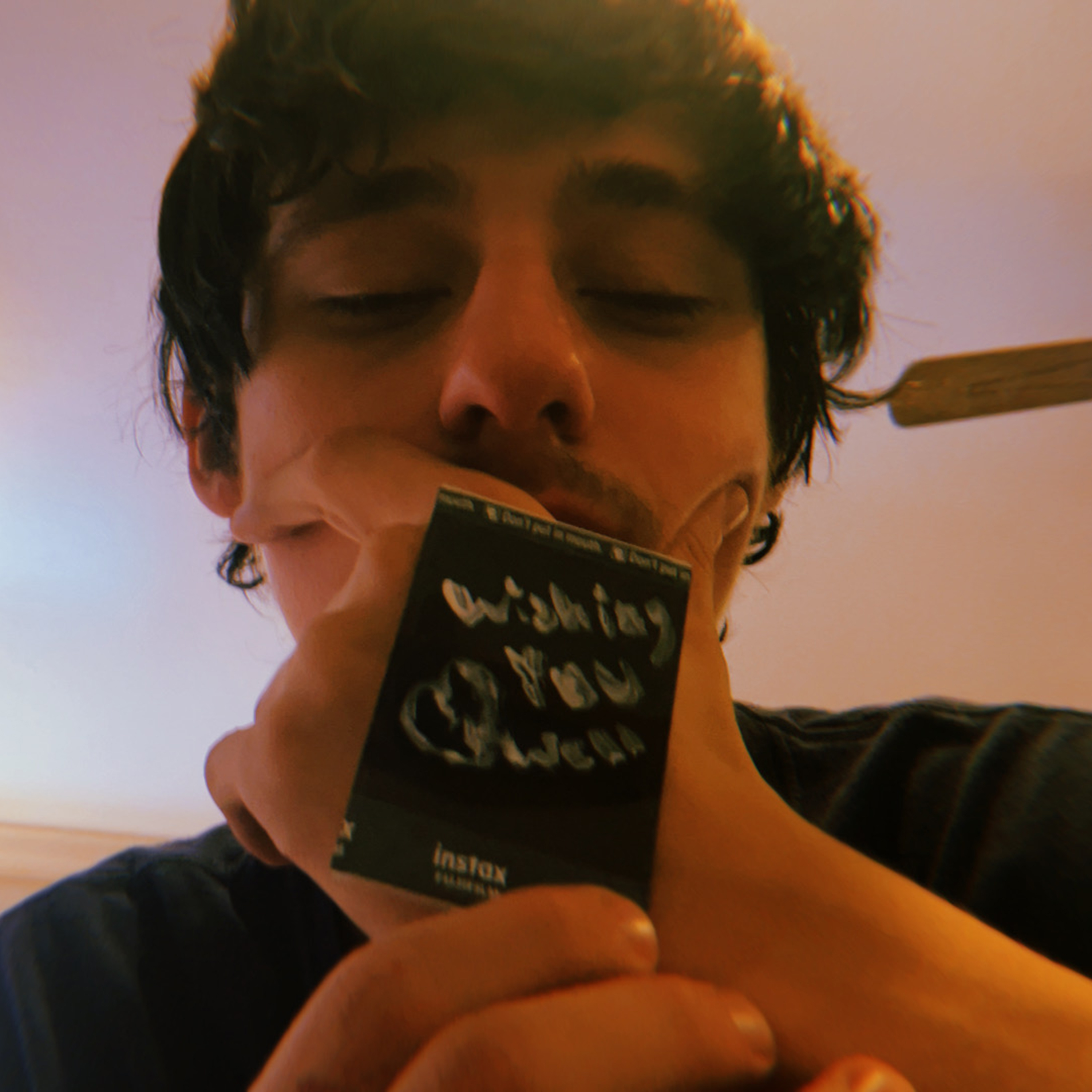 Wishing You Well (Fuck You) by CAUS cover art