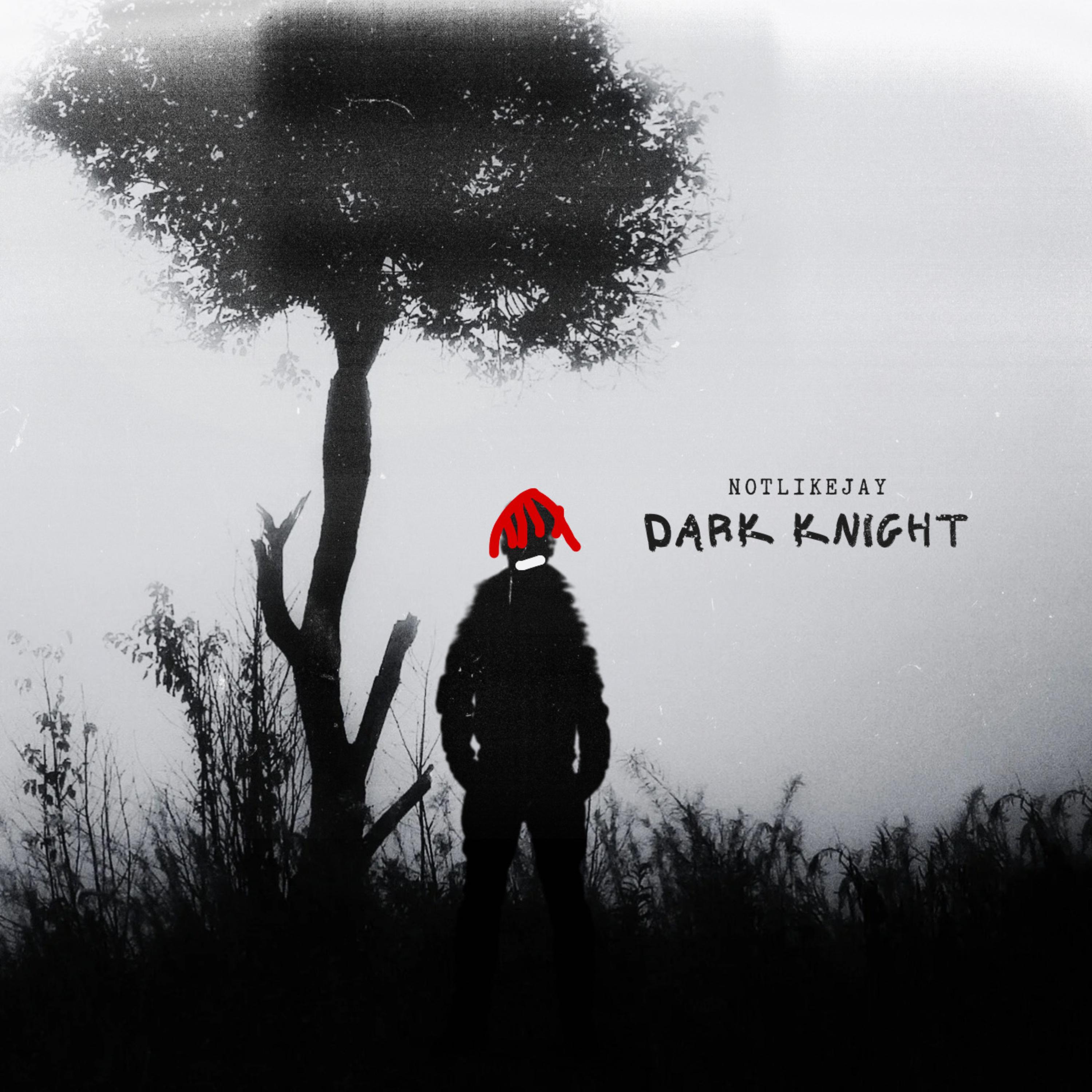 dark knight artwork