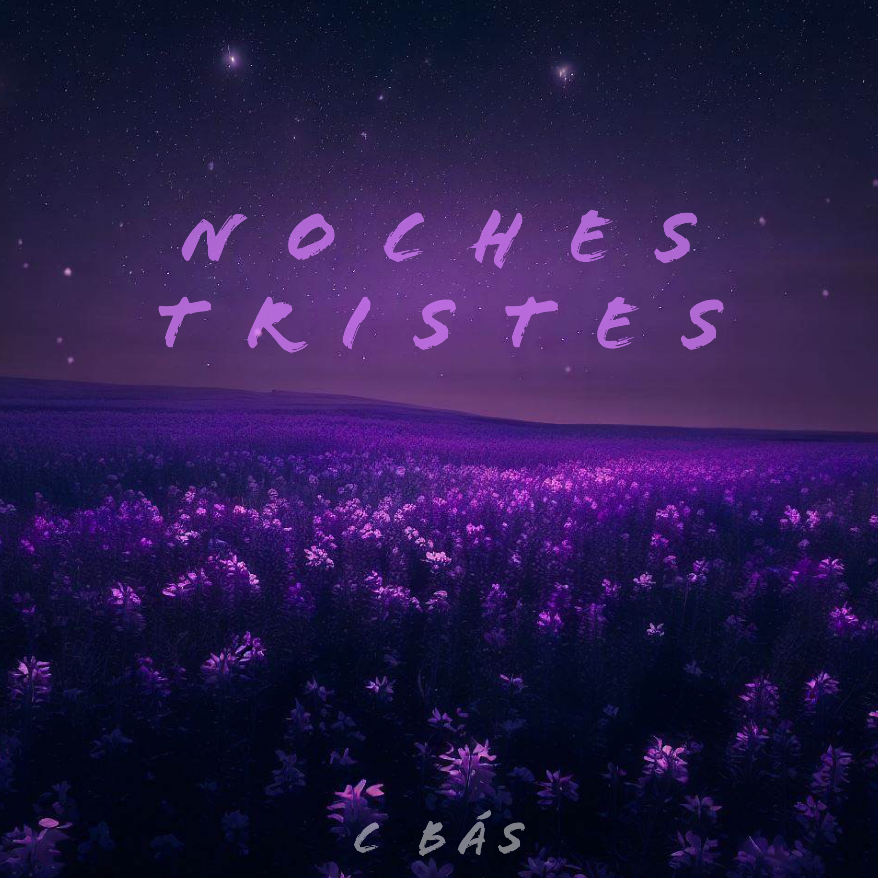 Noches Tristes artwork