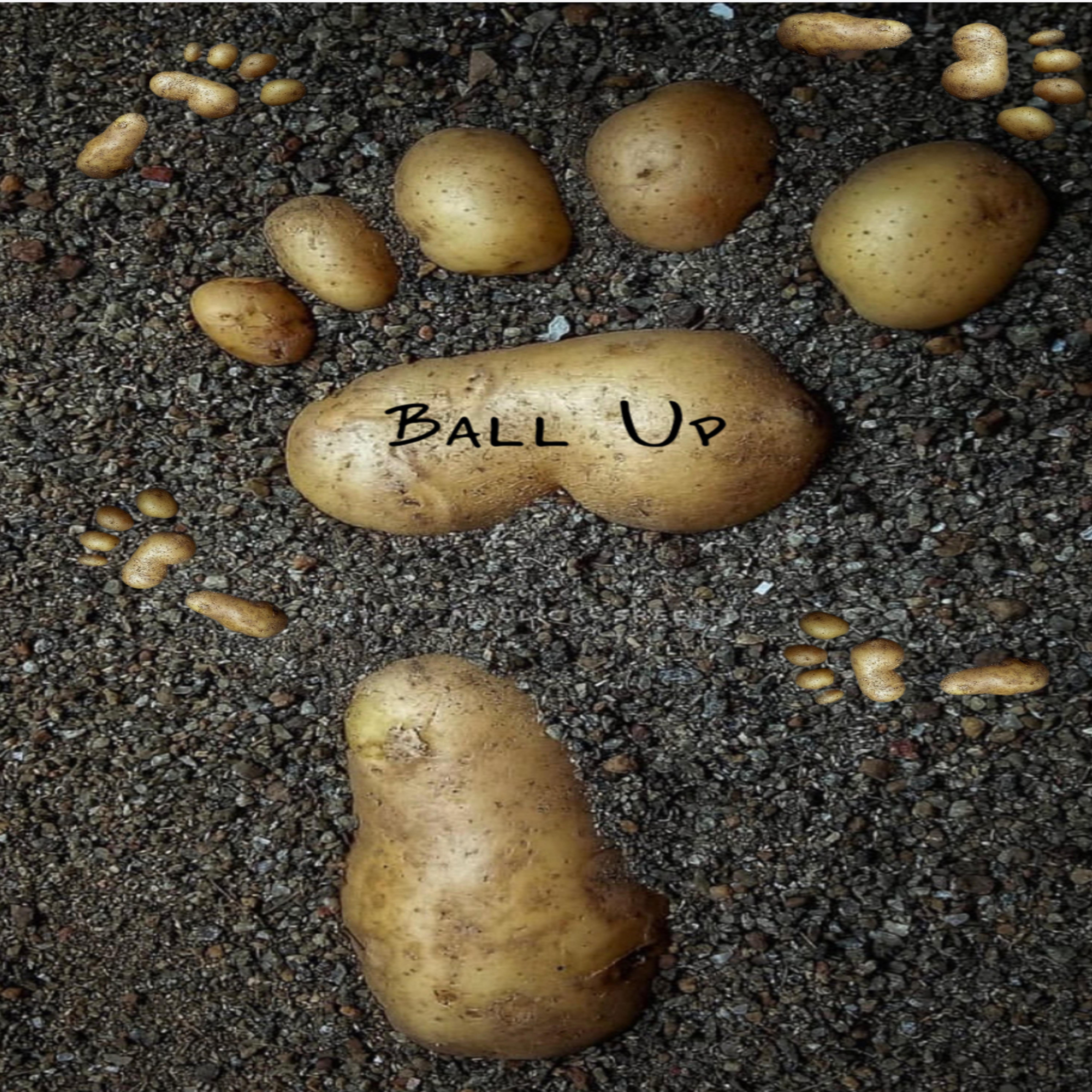 BALL UP artwork