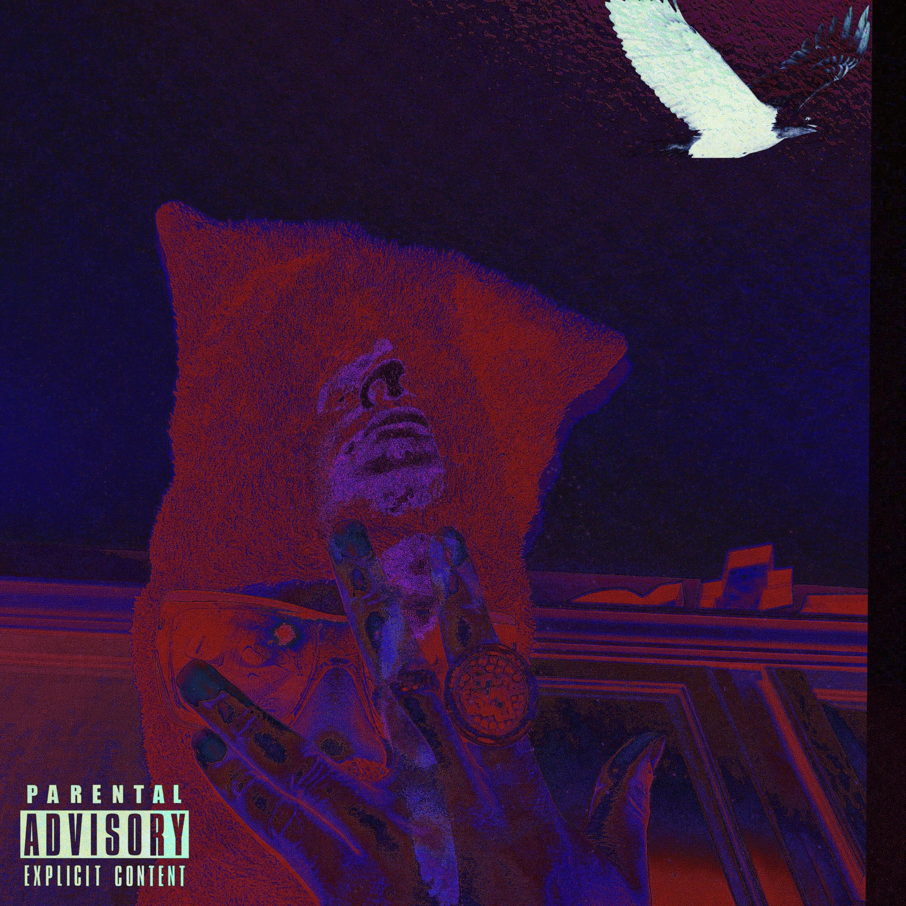 LFNË by lonelysoloo cover art