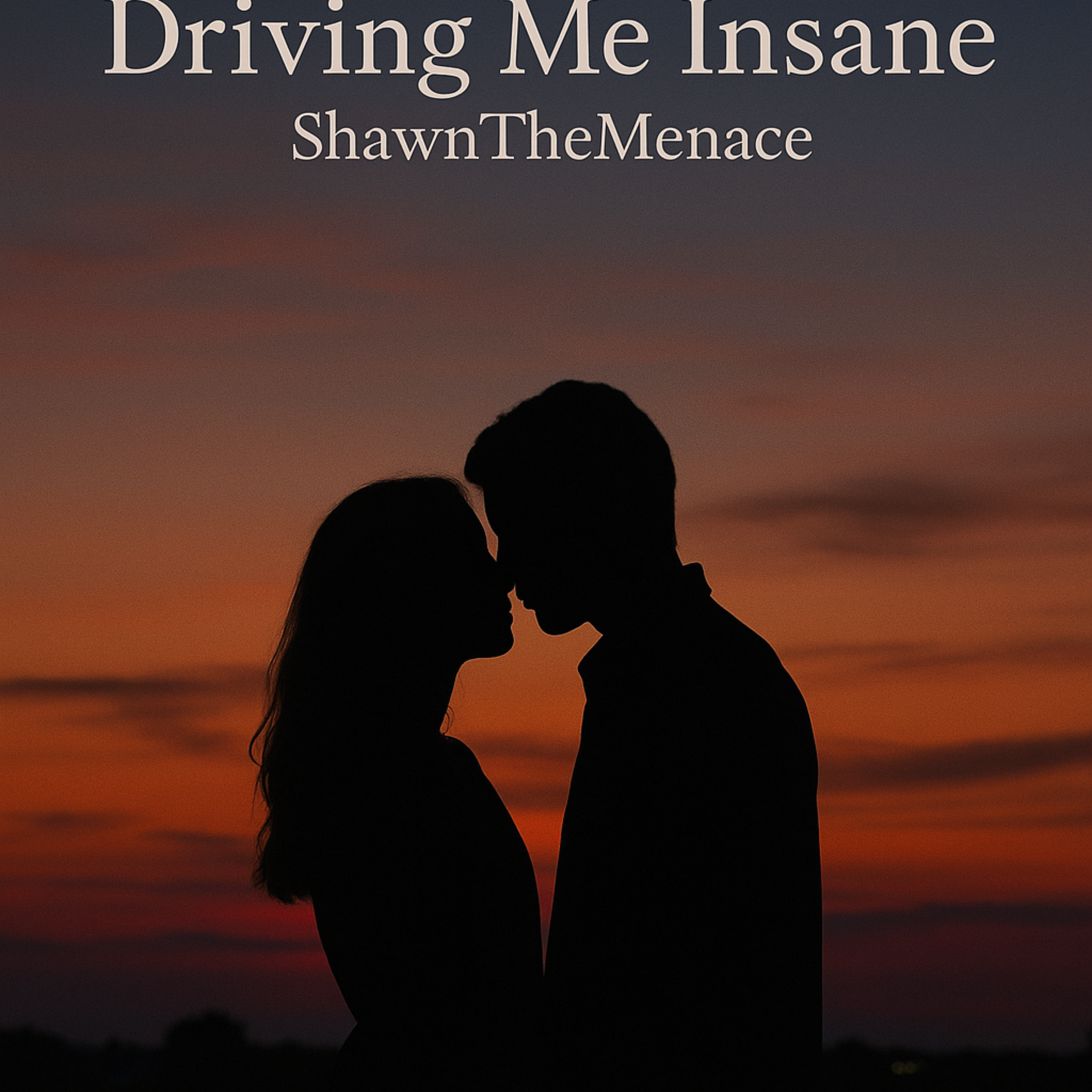 Driving Me insane artwork