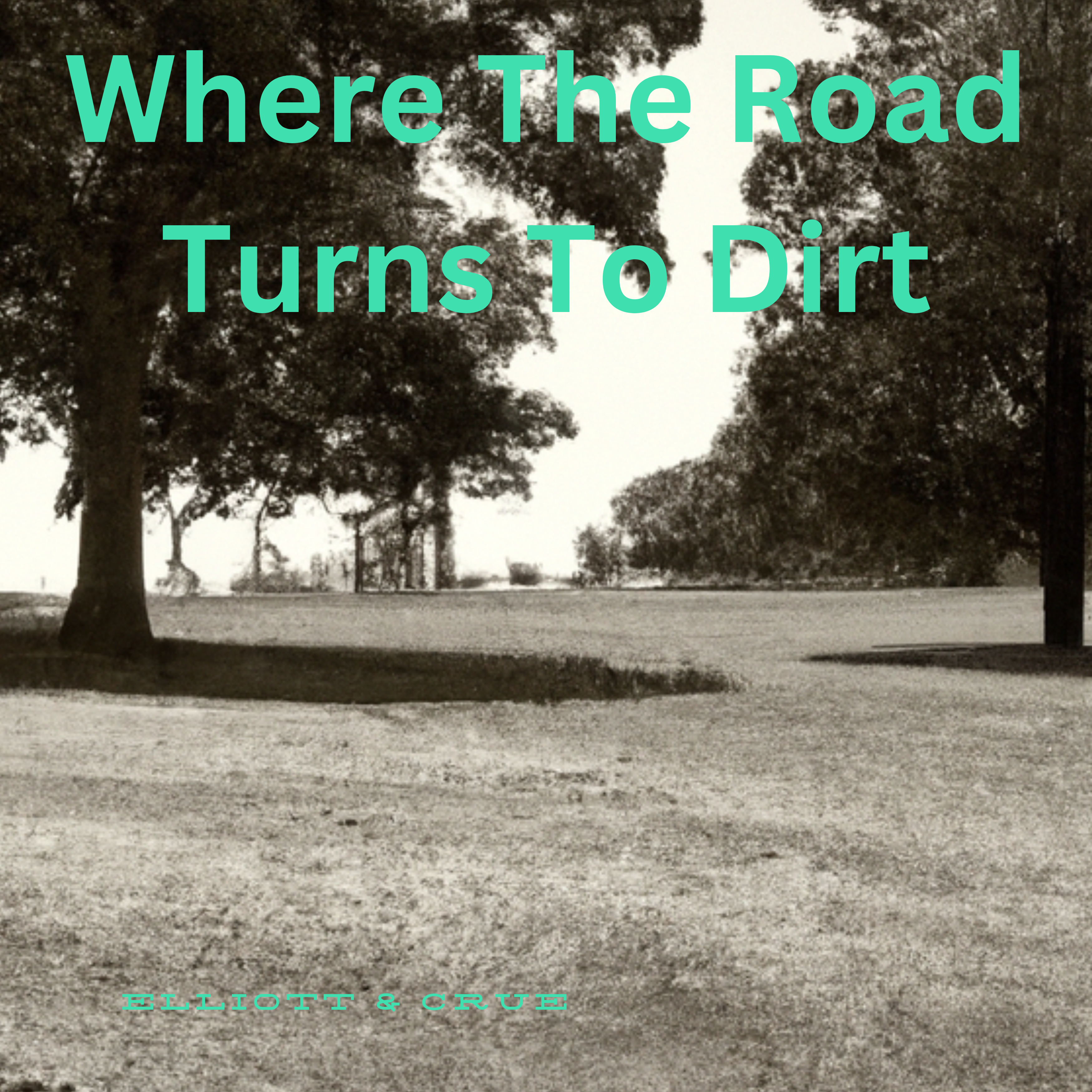 Where the Road Turns To Dirt artwork