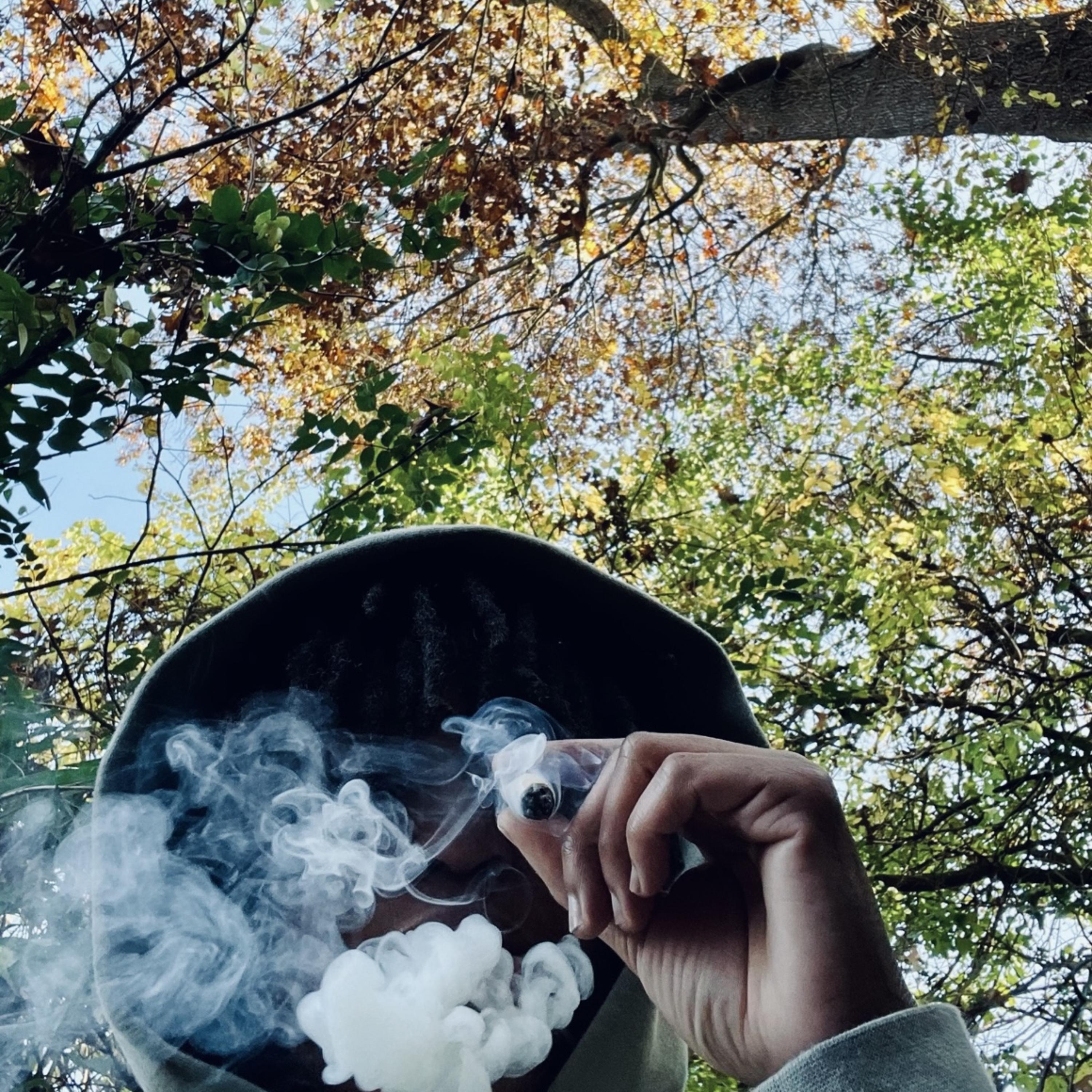 (Ngl) Not Gonna Lie artwork