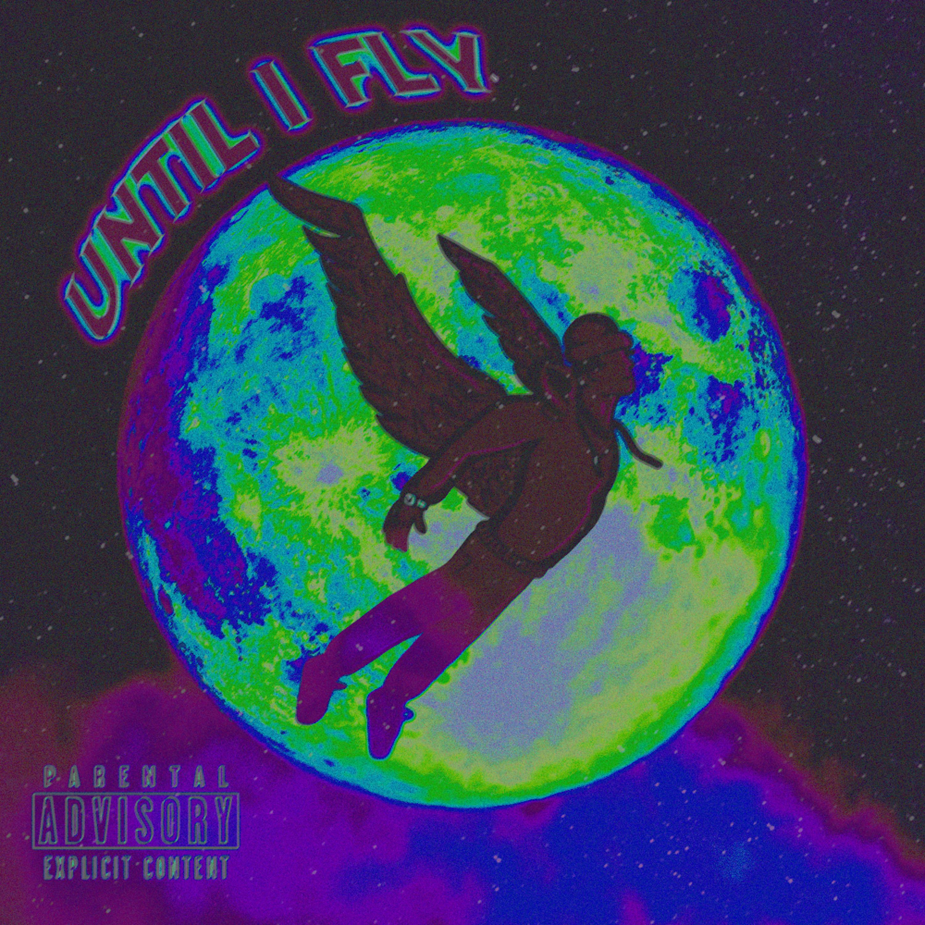 Until I Fly artwork