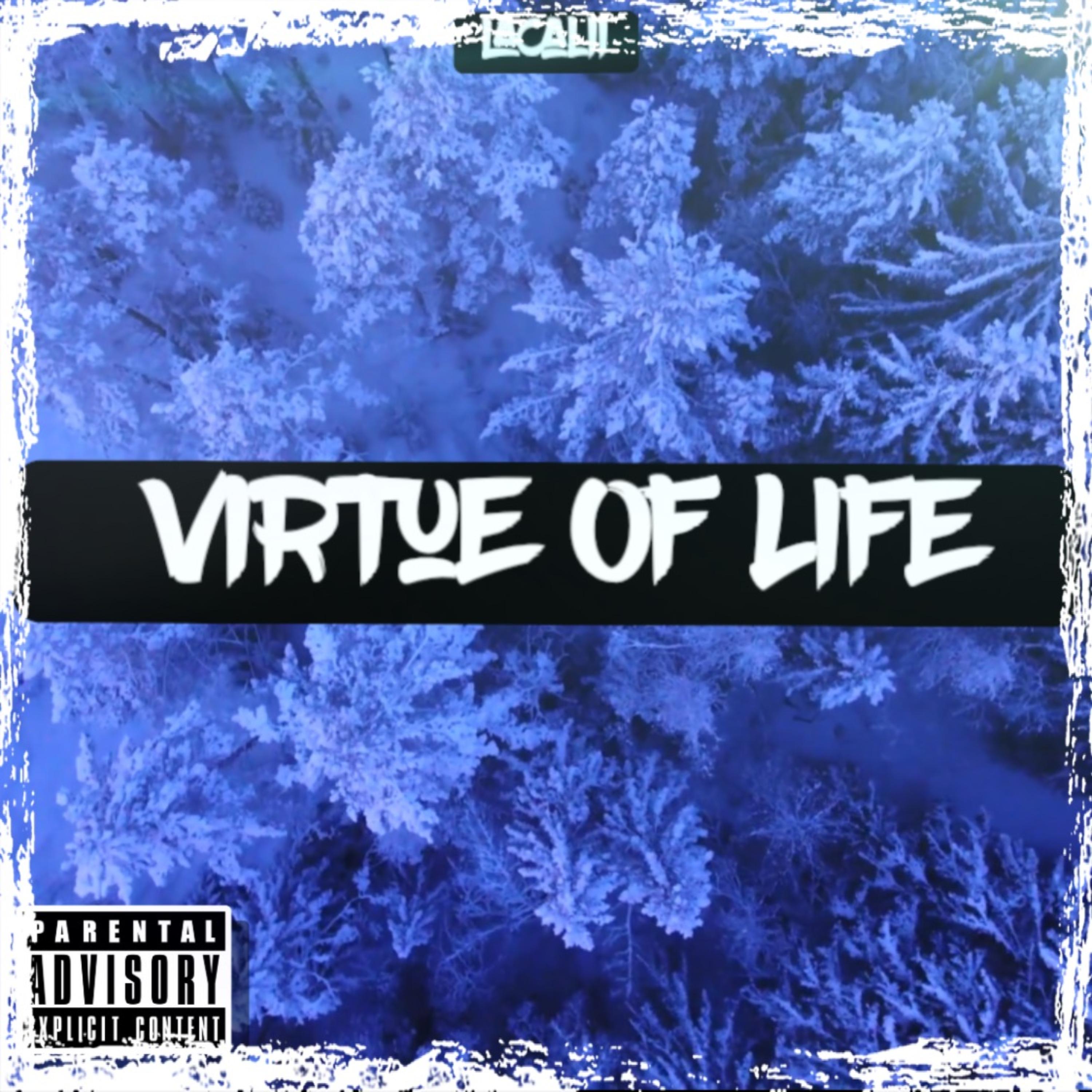 Virtue OF Life artwork