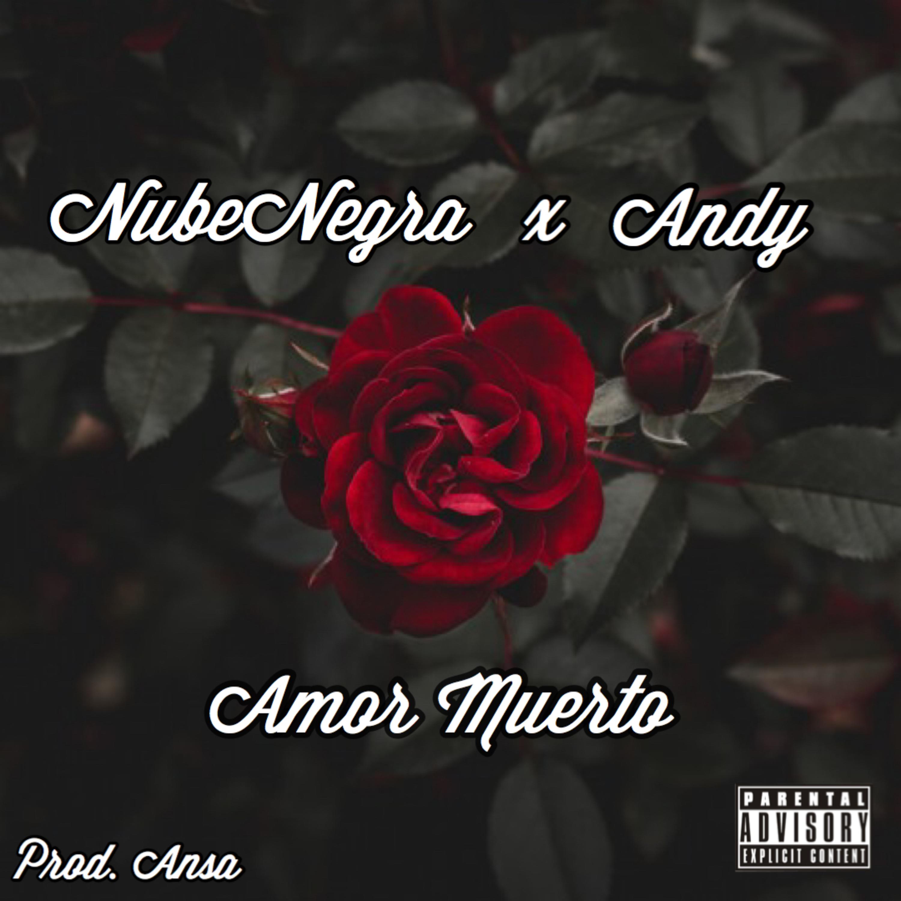 Amor Muerto by NUBE cover art