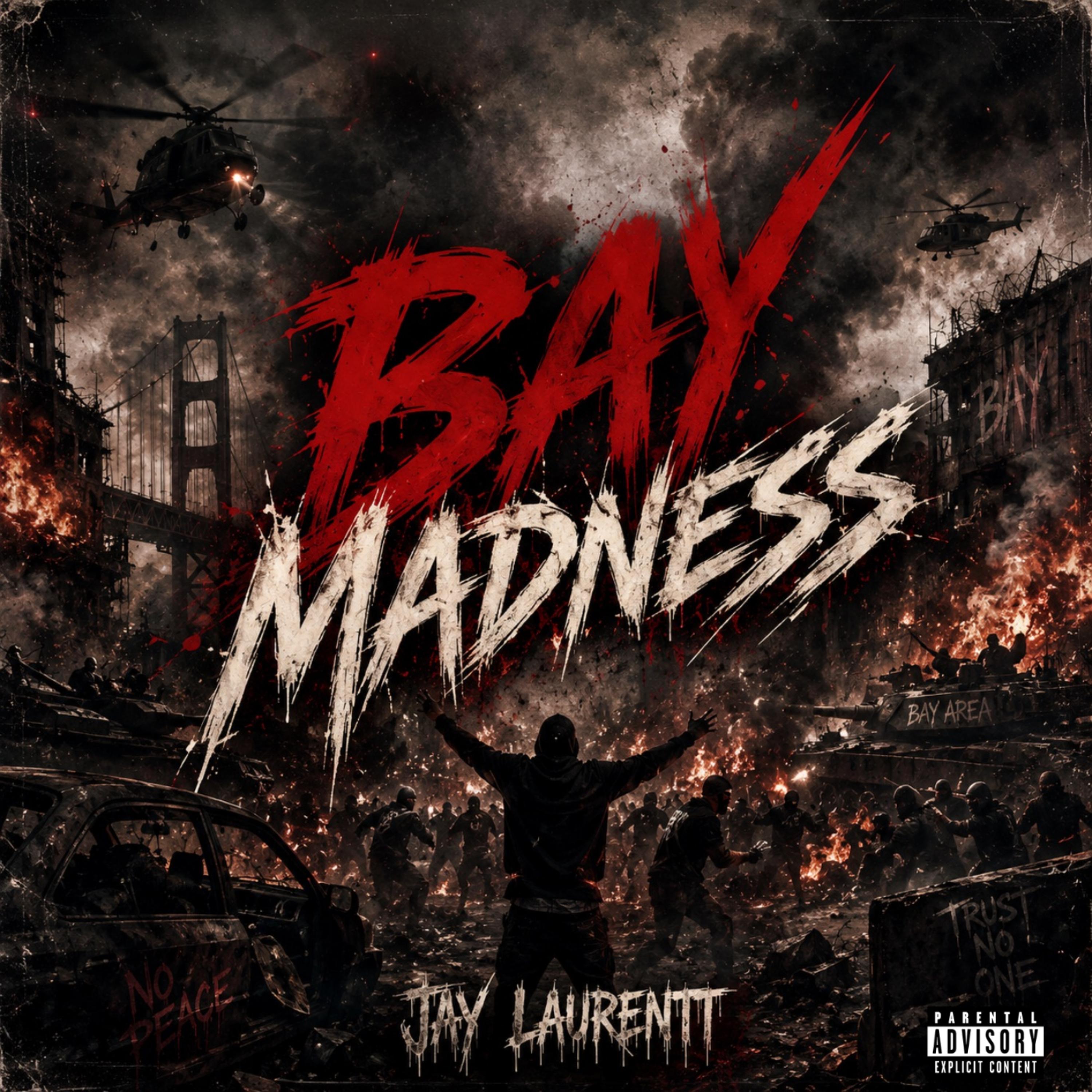 Bay Madness by Jay Laurentt cover art