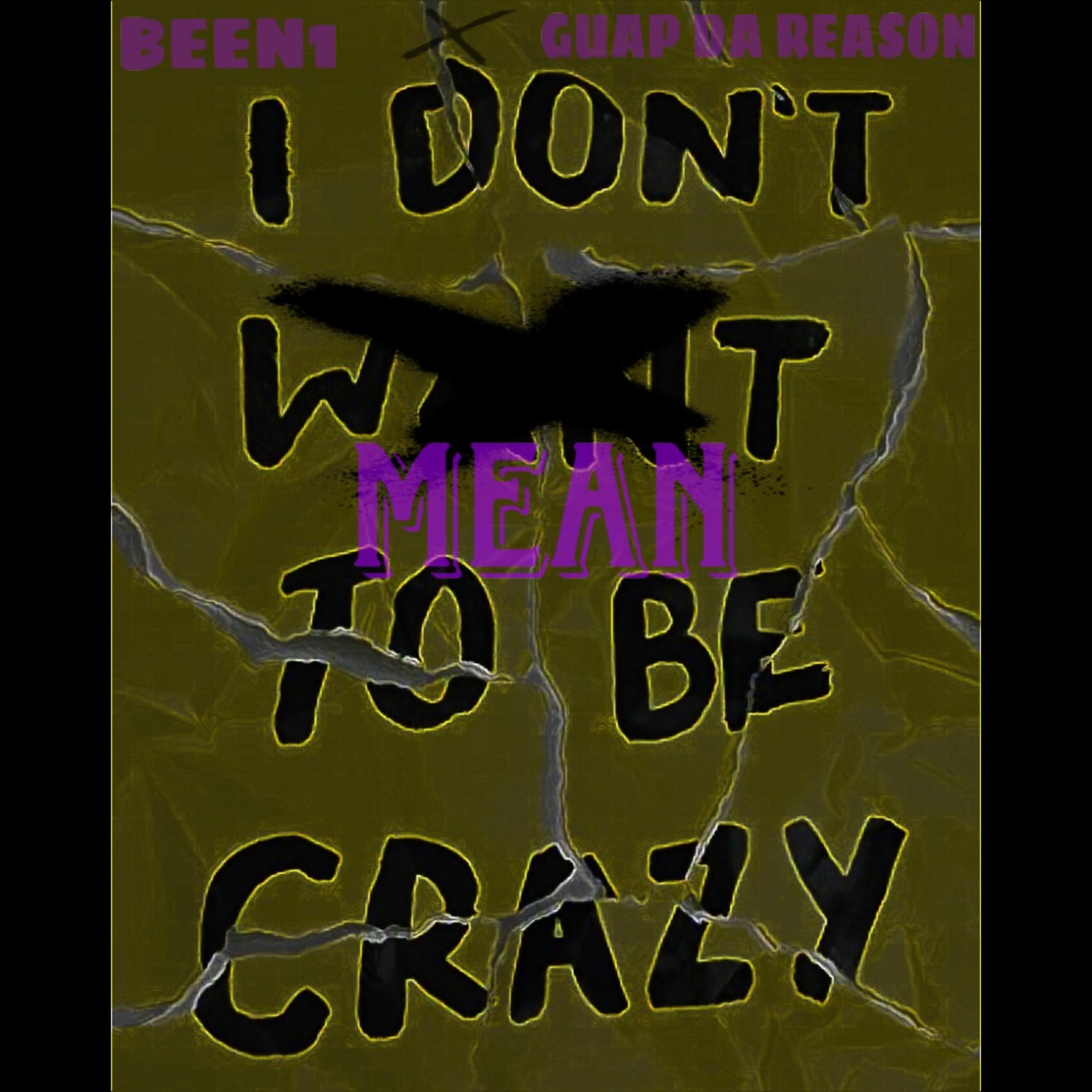 Dont Mean 2 Be Crazy artwork