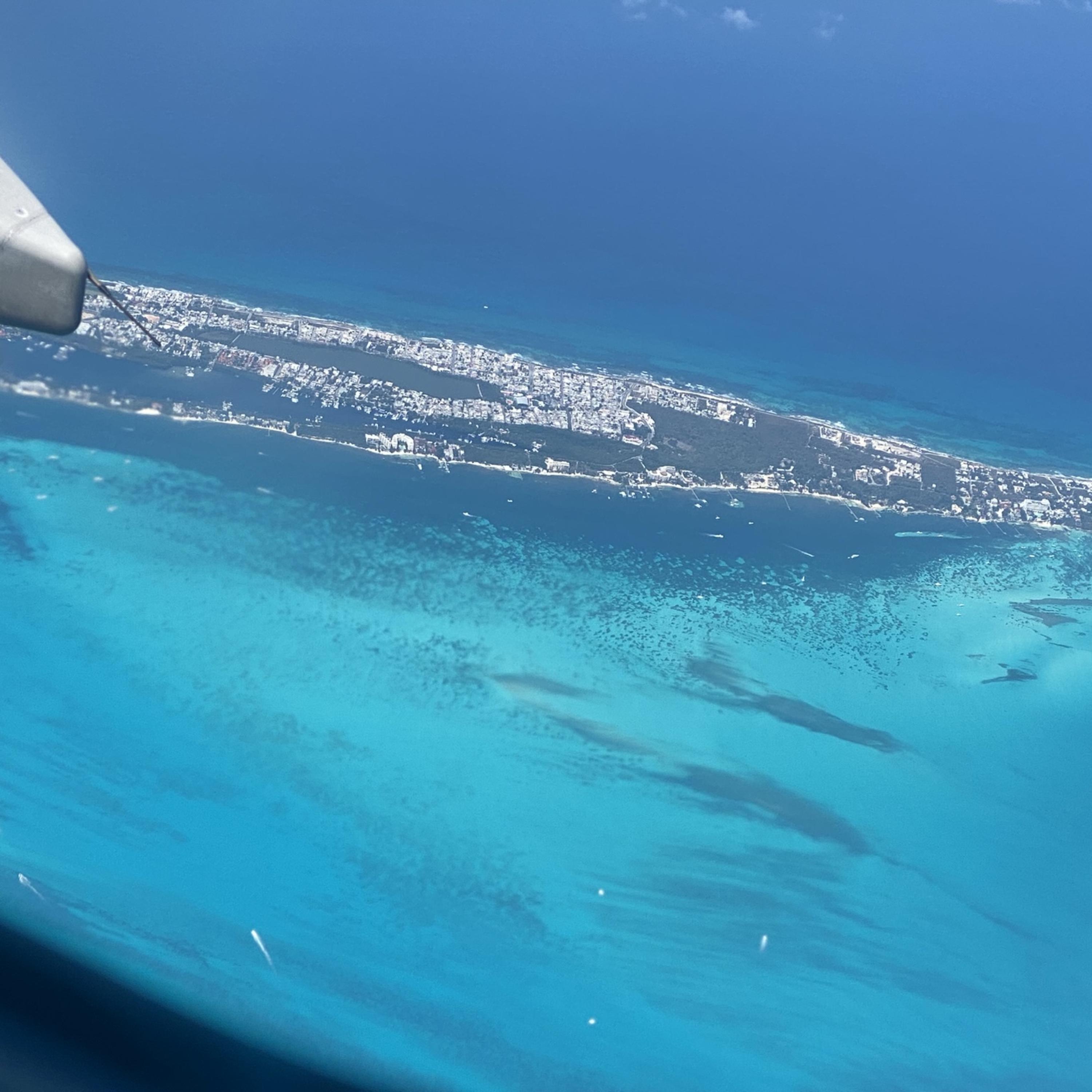 Therian Love (Remaster) artwork