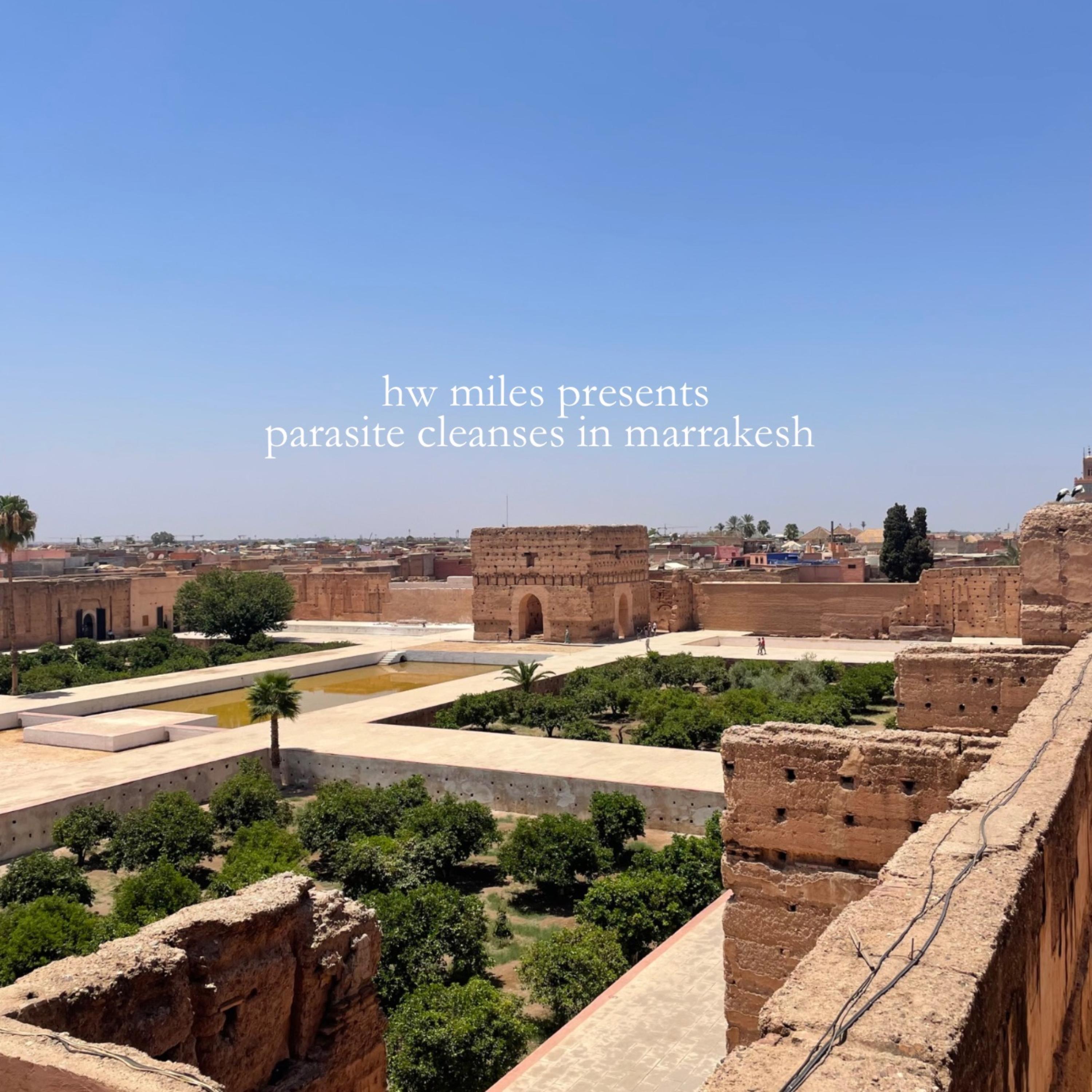 Parasite Cleanses In Marrakesh by hw miles cover art