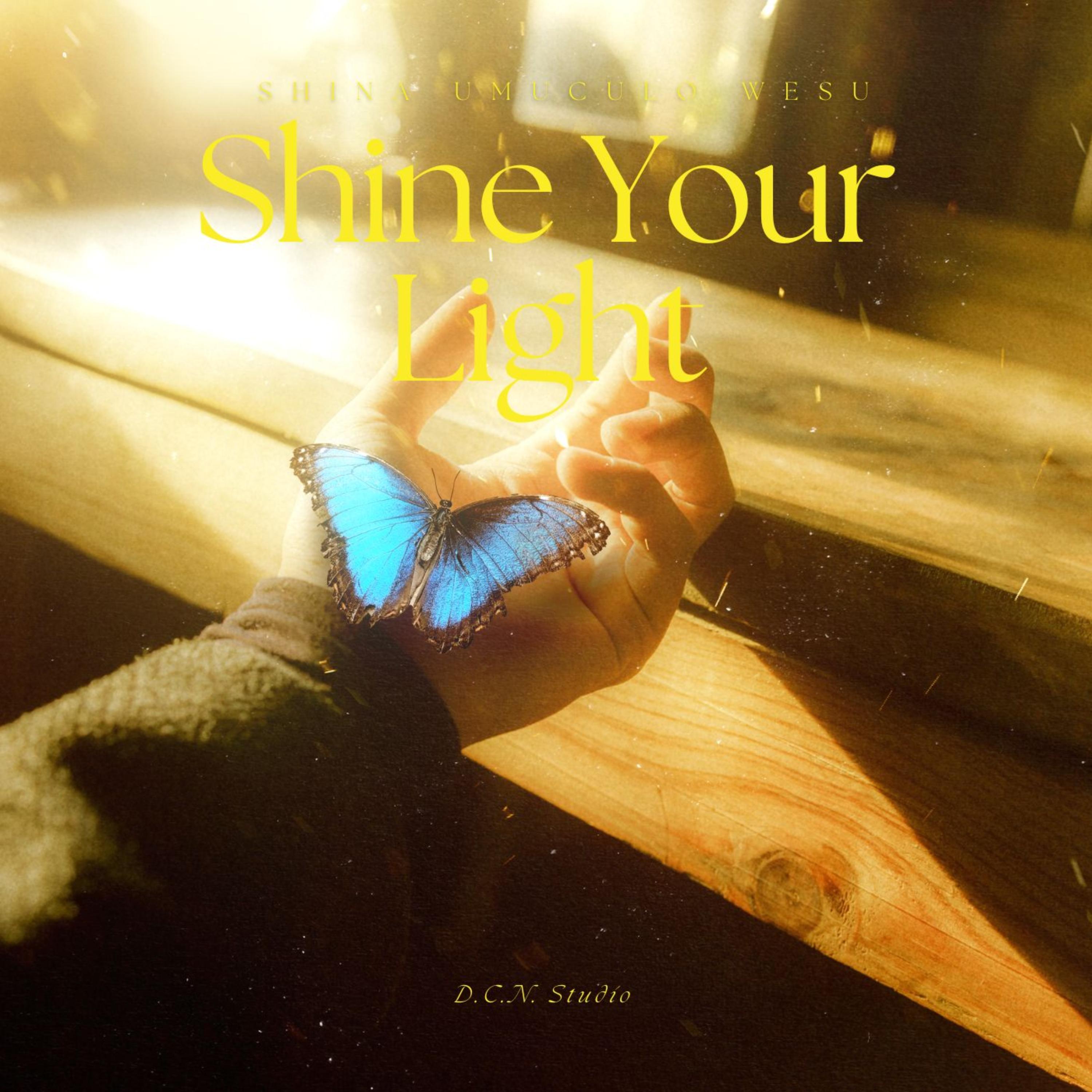 Shine Your Light ( Shina Umuculo Wesu ) artwork