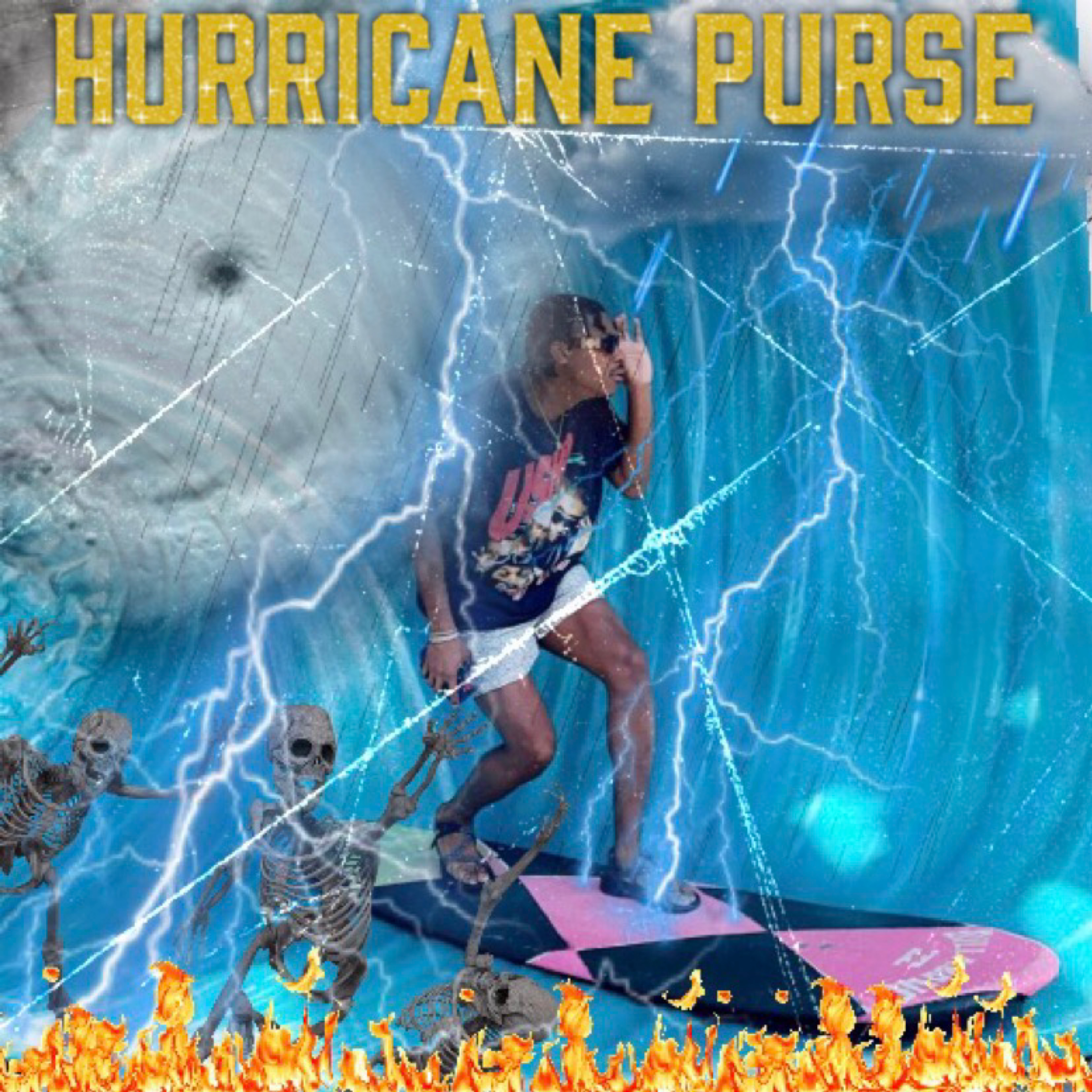 Hurricane Purse artwork