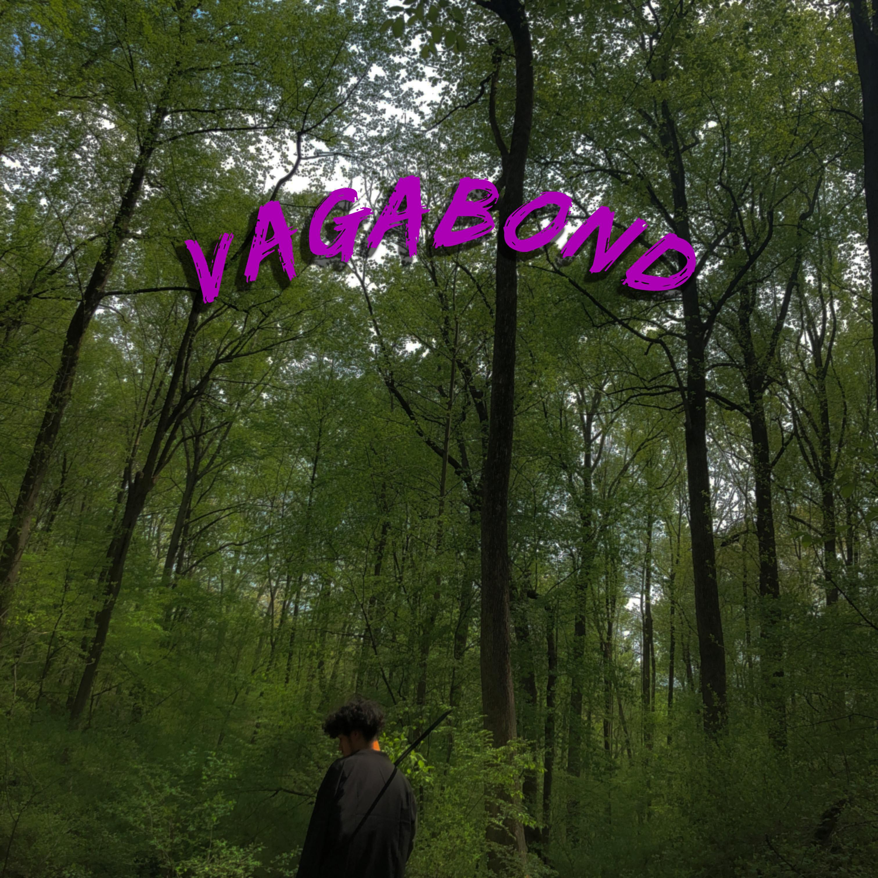 Vagabond artwork
