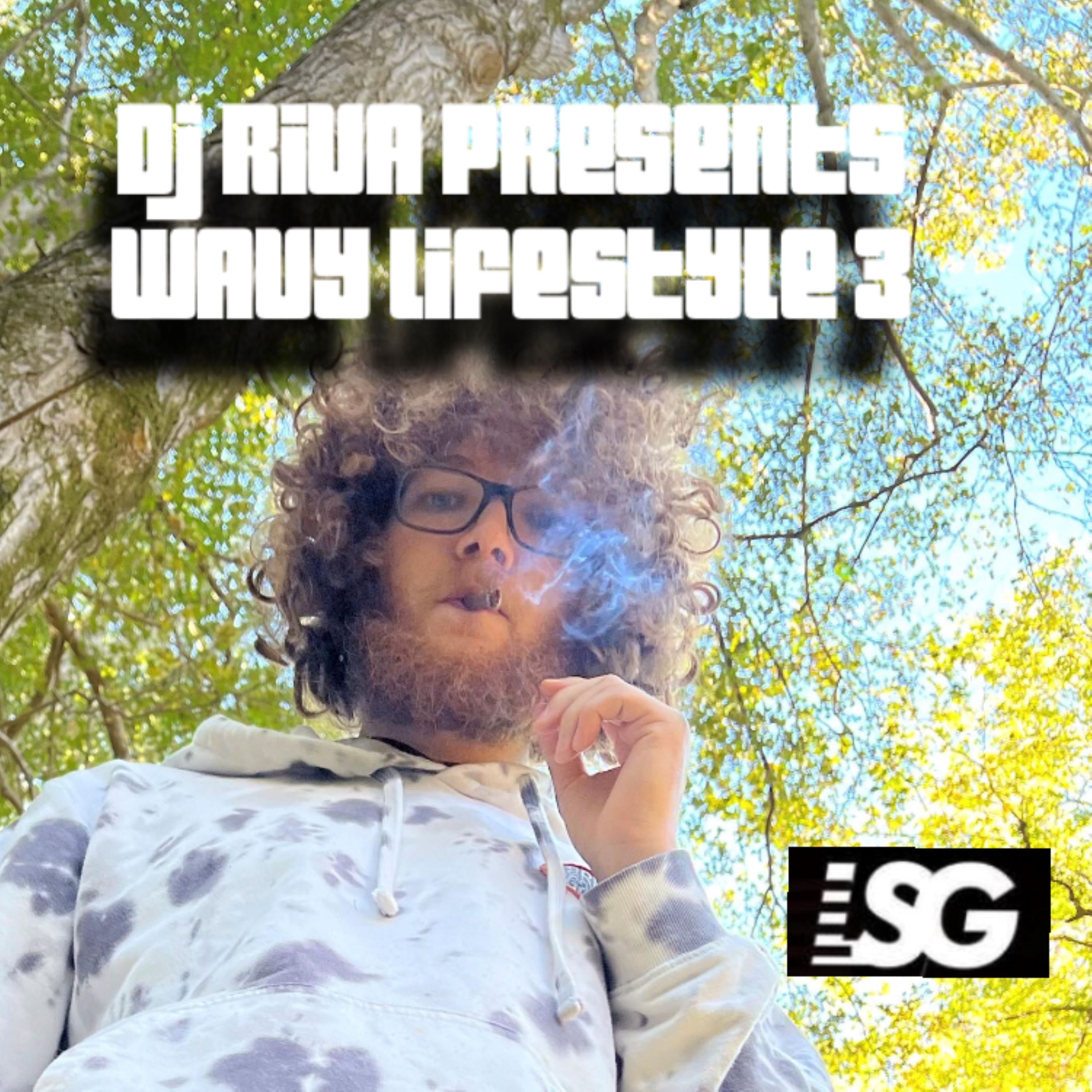 WAVY LIFESTYLE 3 artwork