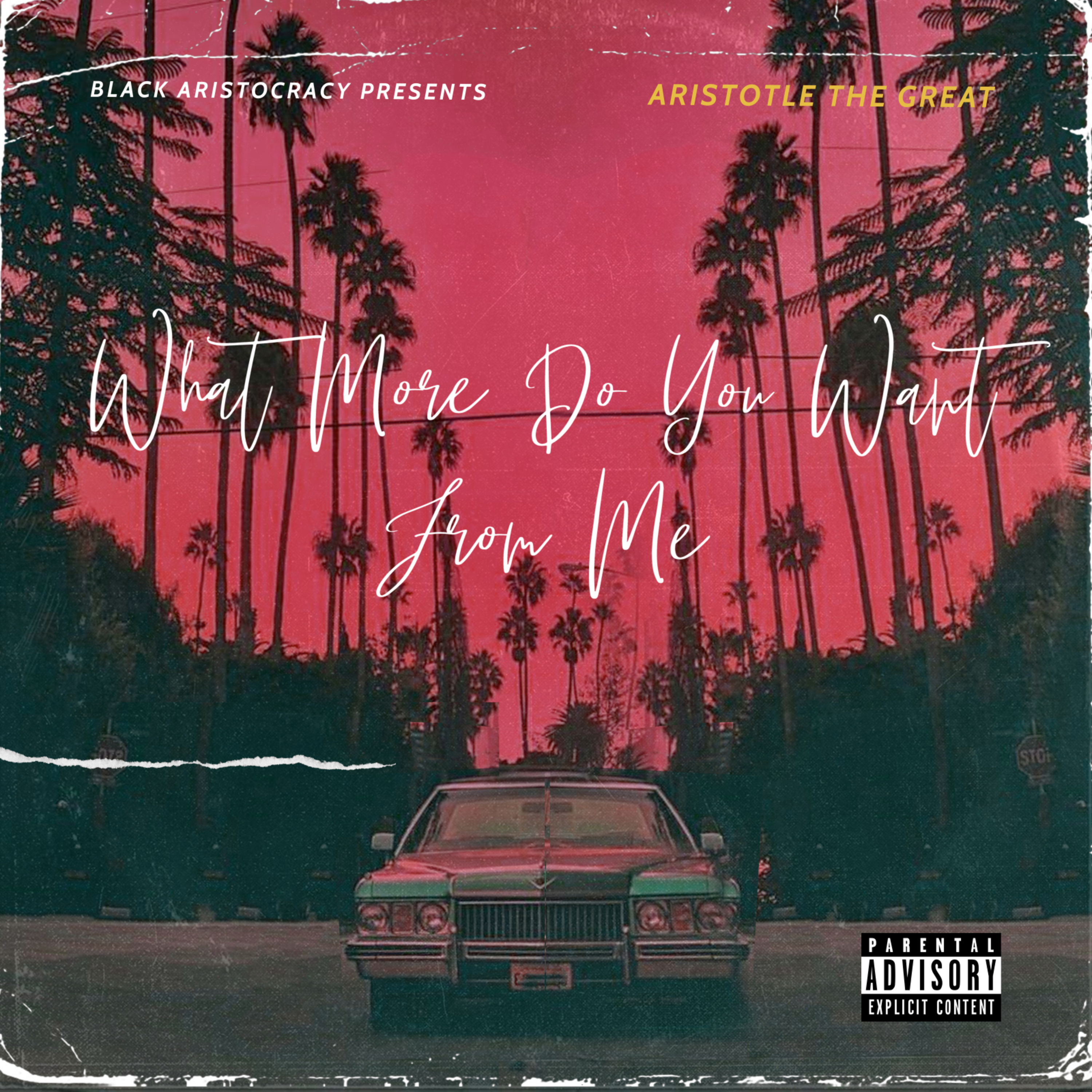 What More Do You Want From Me artwork