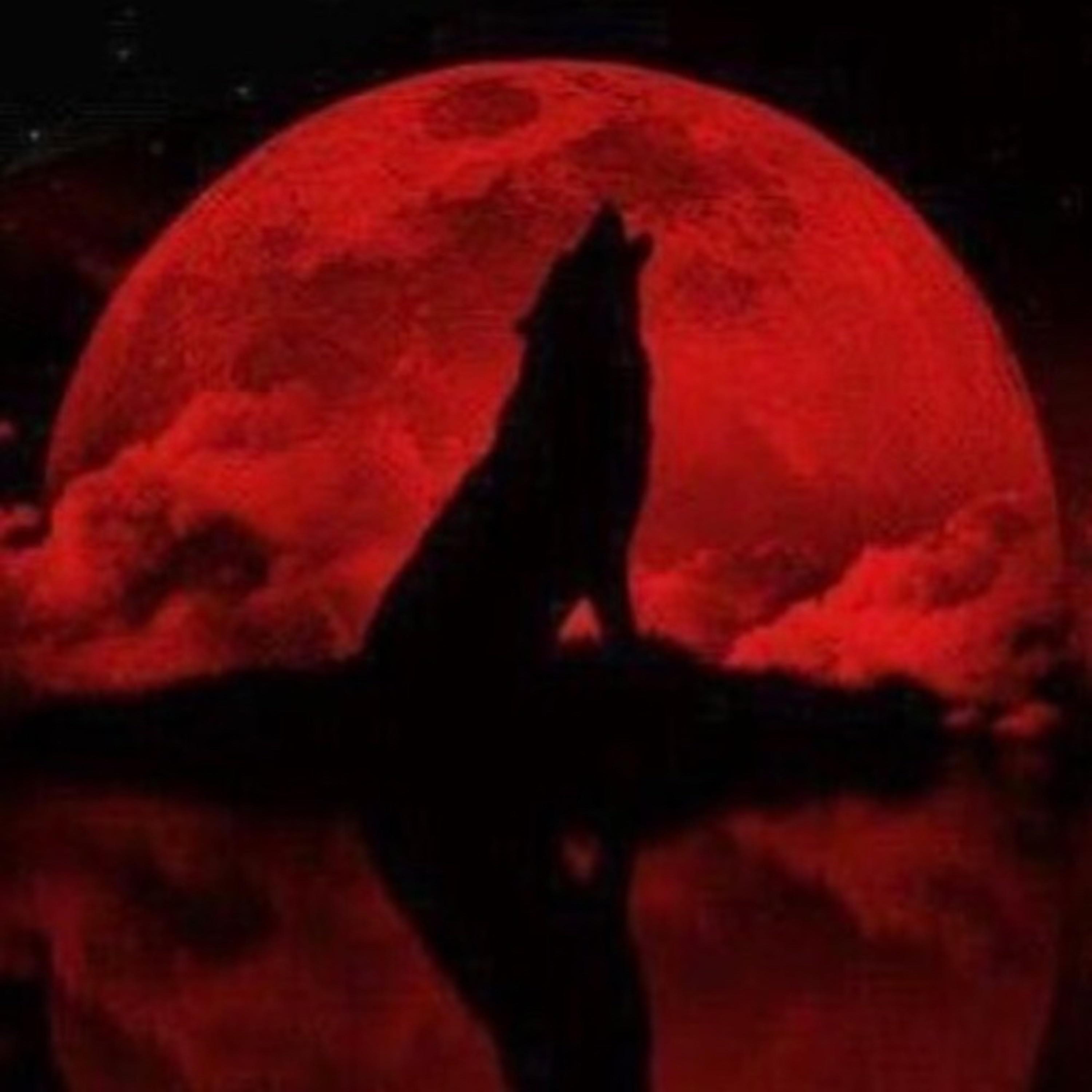 Lone Wolf by G!ockk cover art