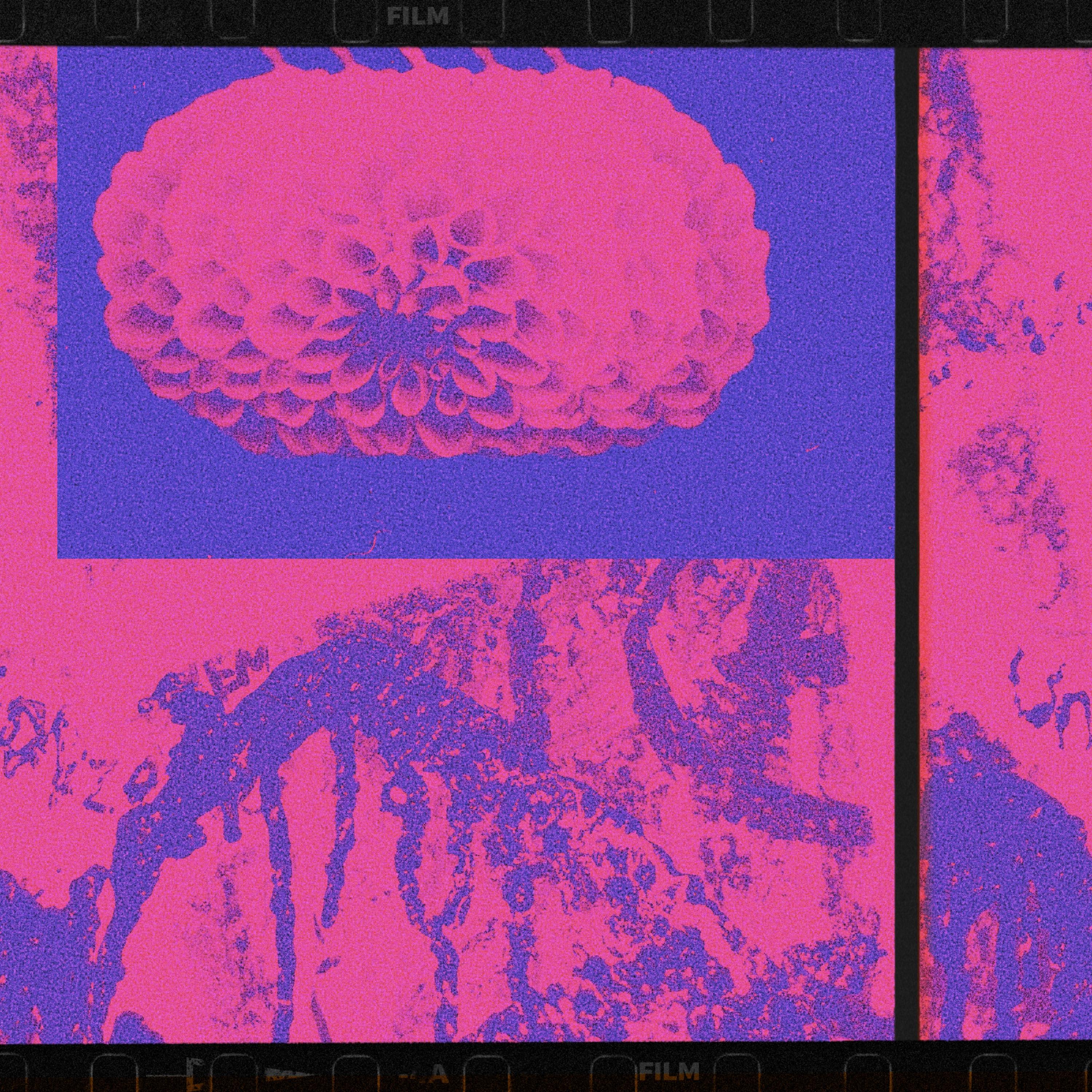 worked up - Guest Running Late Edit artwork