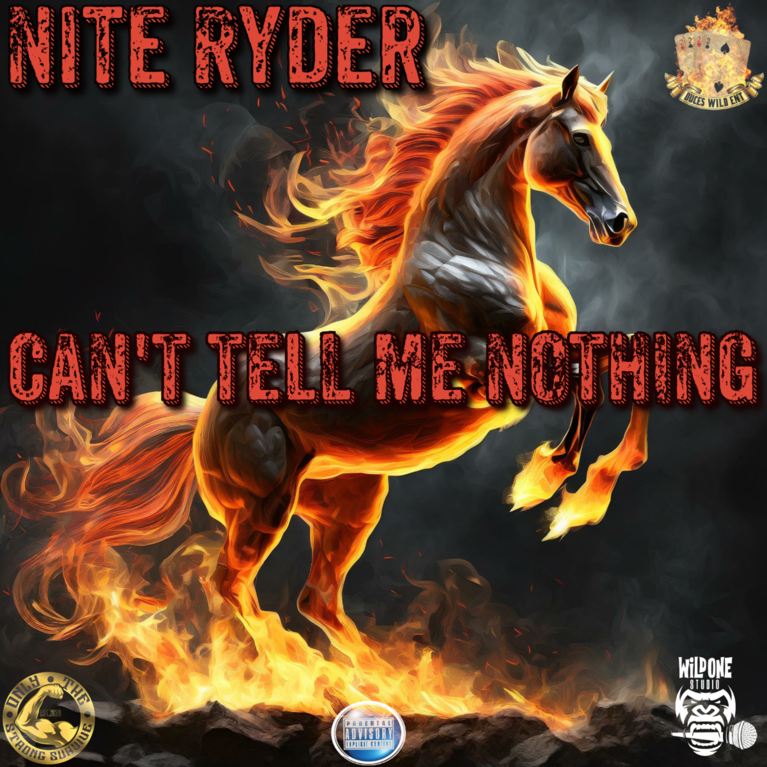 Can't Tell Me Nothing artwork