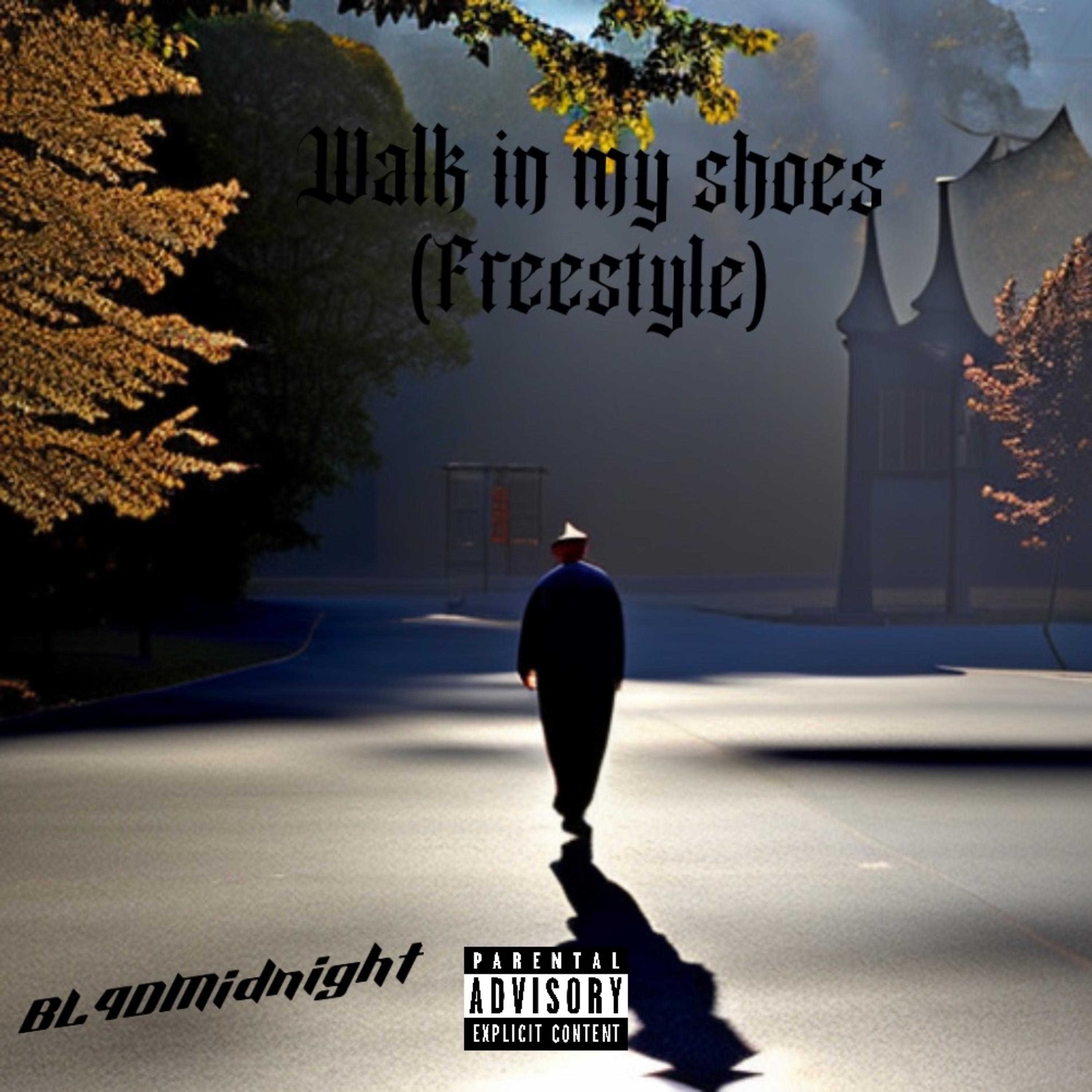 Walk In My Shoes (freestyle) by BL4DMIDNIGHT