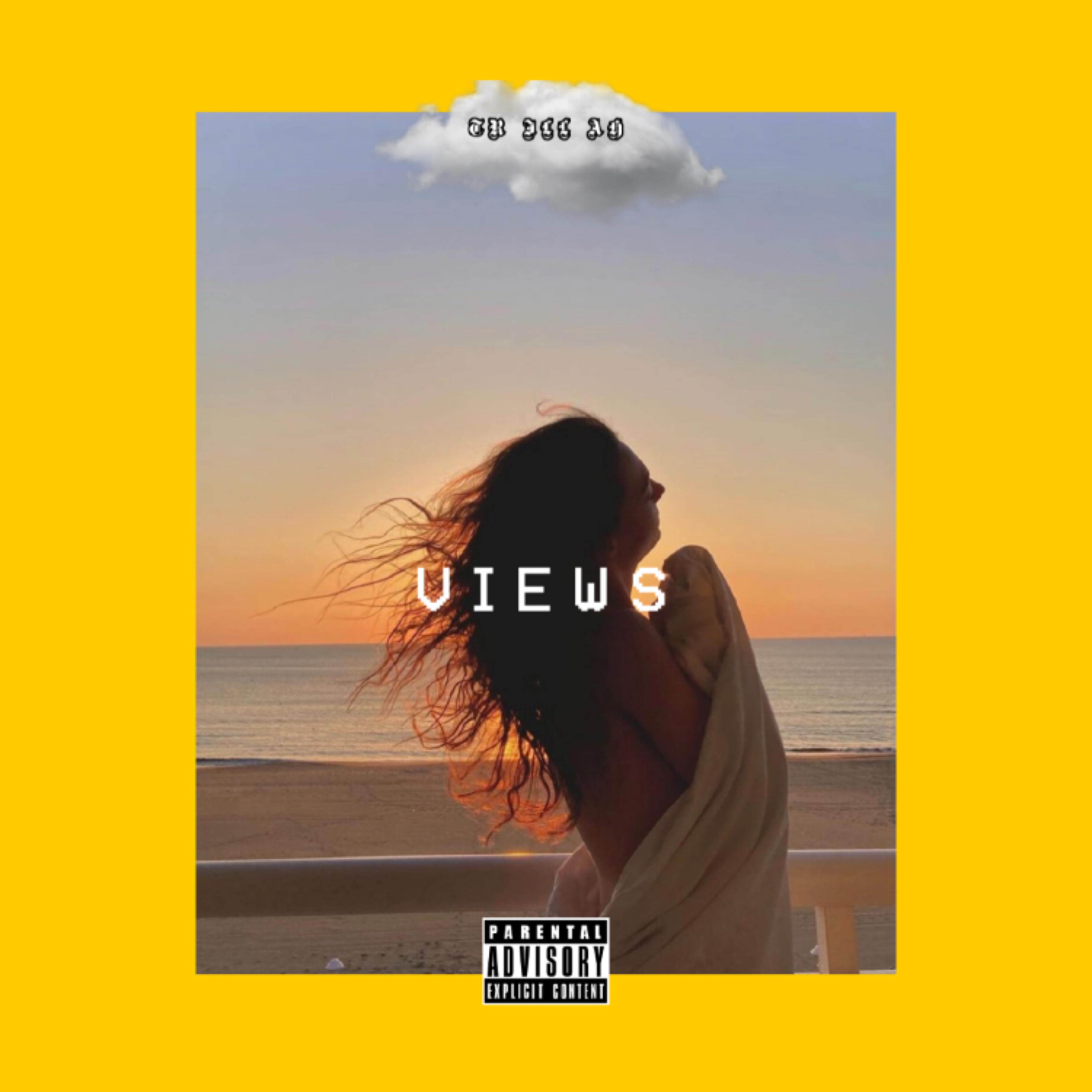 Views artwork