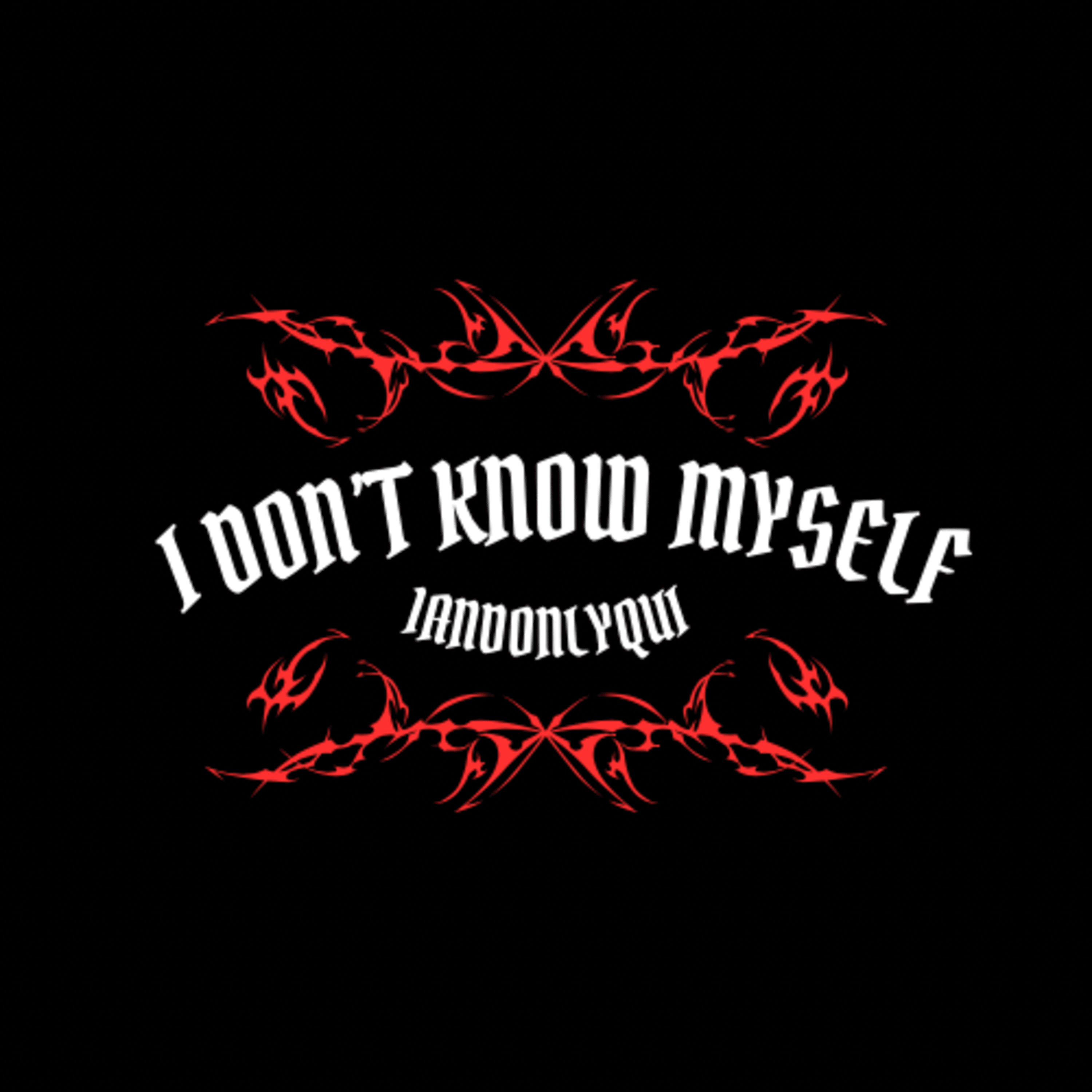 I Don’t Know Myself artwork
