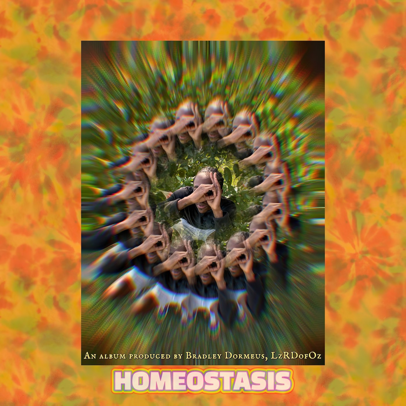 HOMEOSTASIS artwork