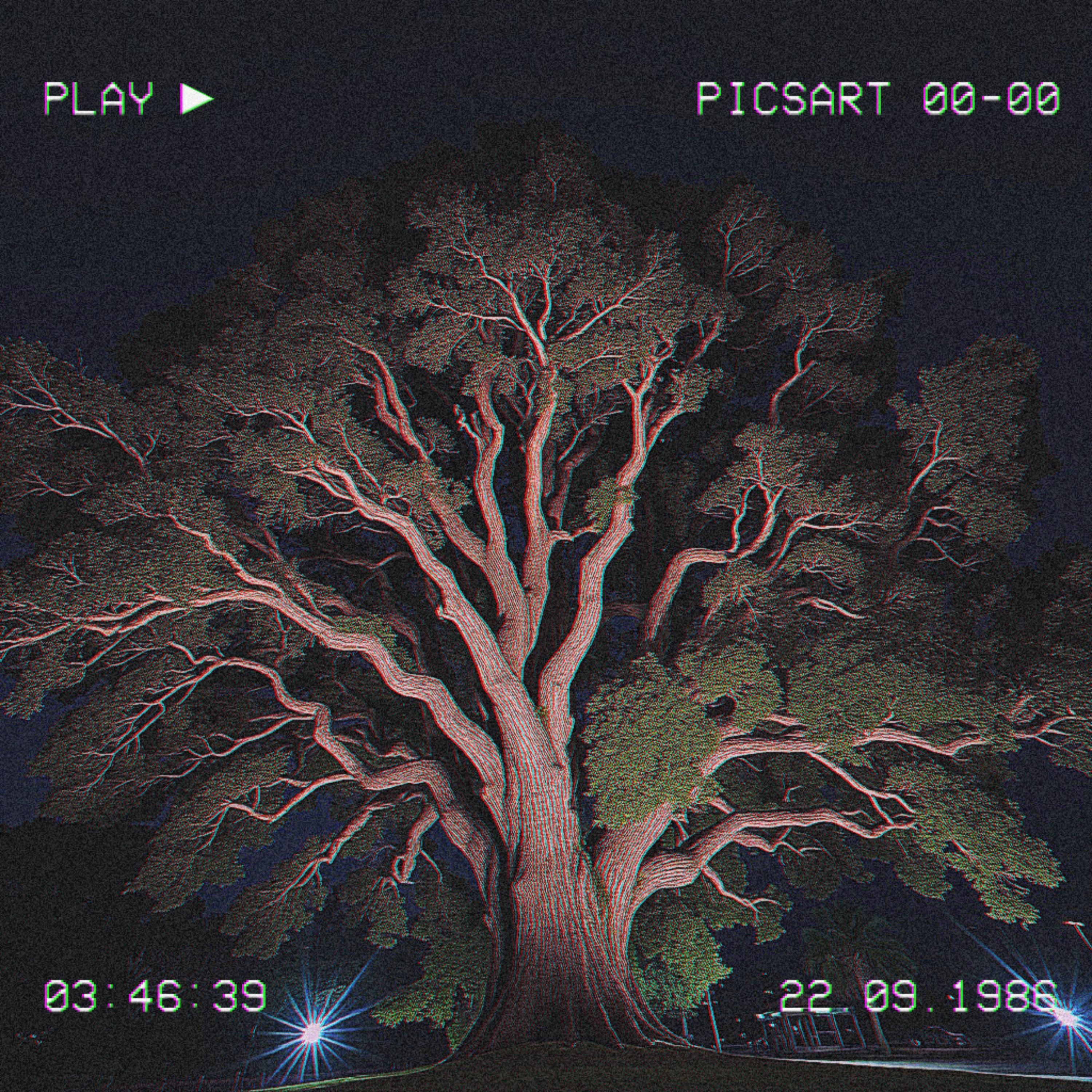 What’s The Meaning artwork