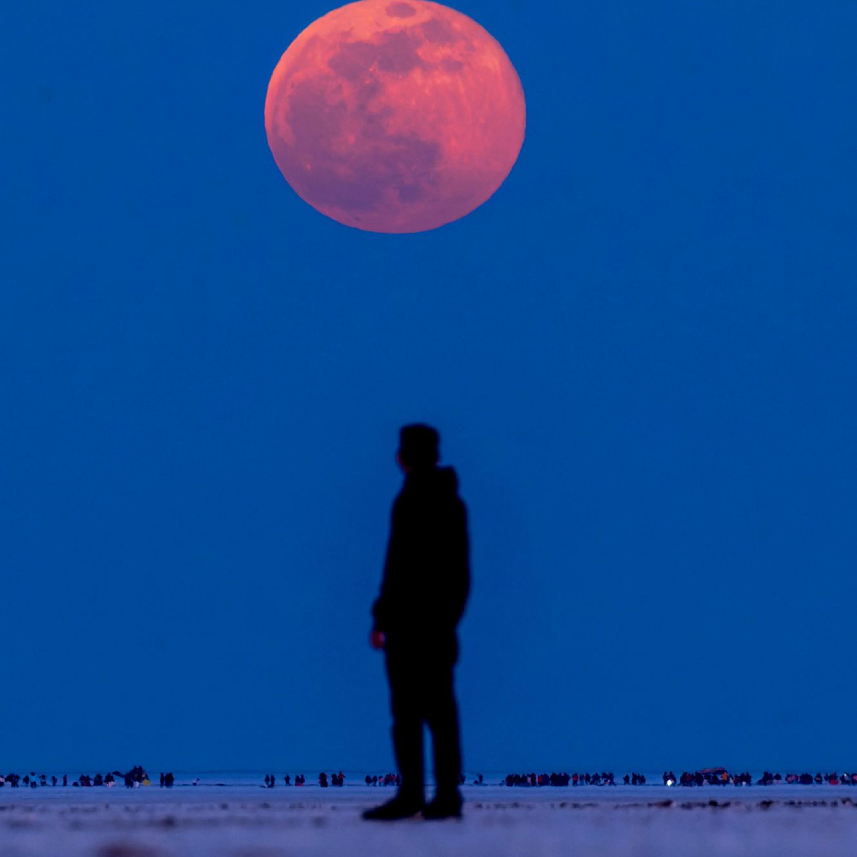 Bloody Moon artwork