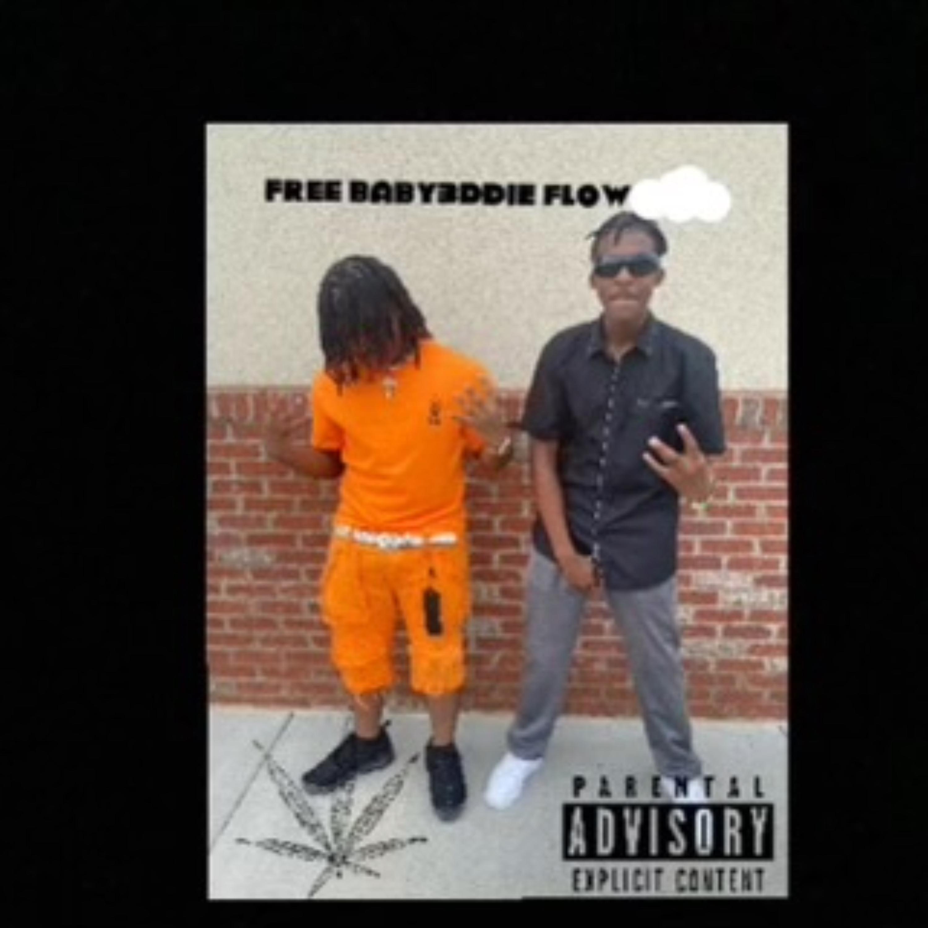 Free Baby3ddie Flow by SNE Ghost cover art
