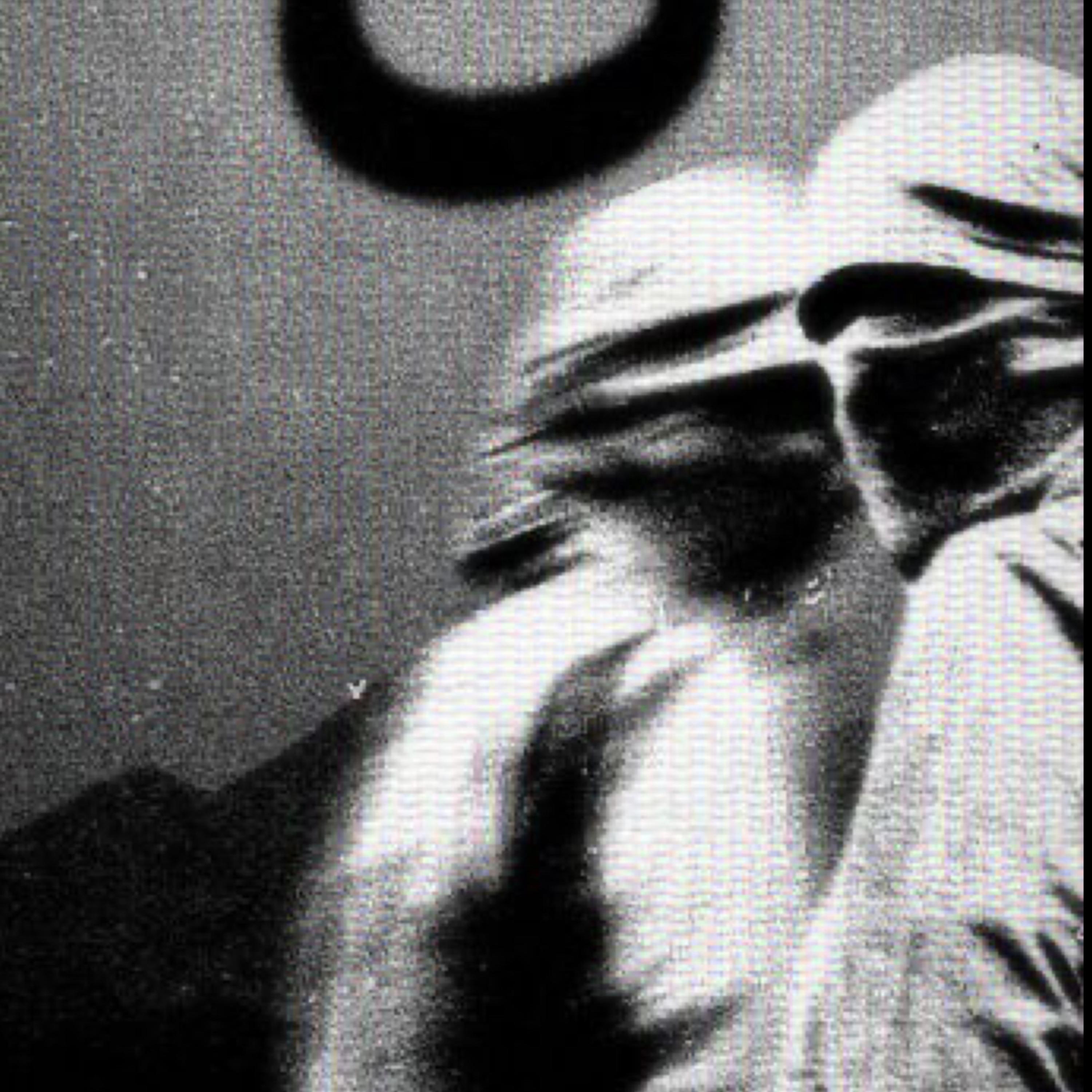 NottaSafePlace artwork