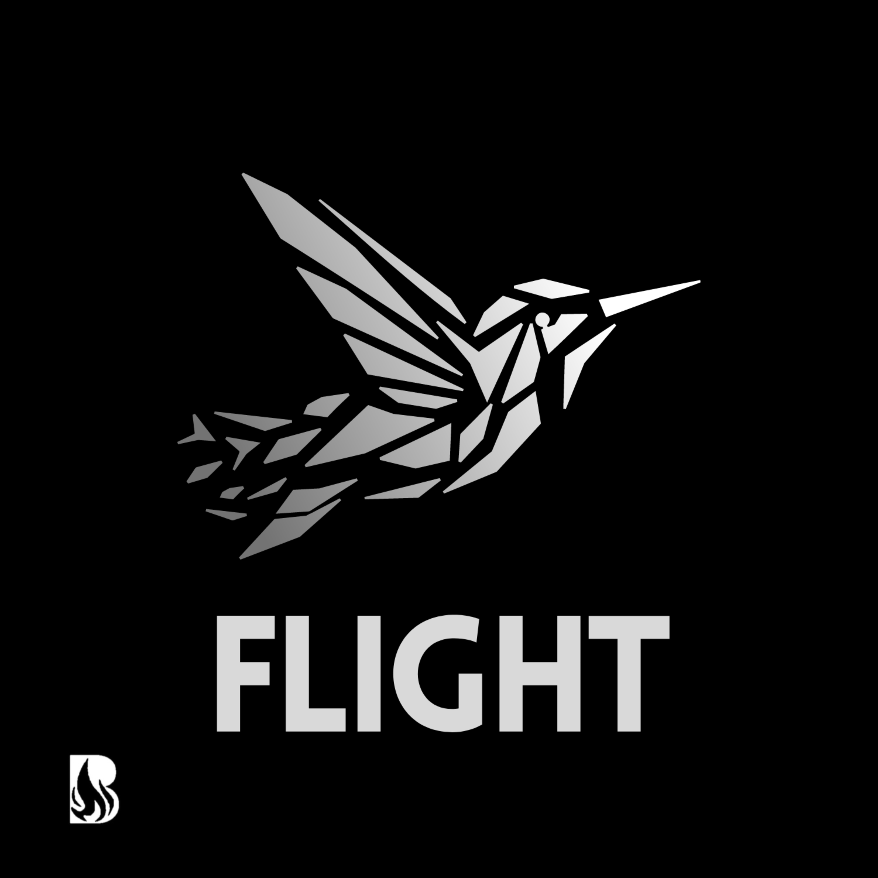 Flight artwork